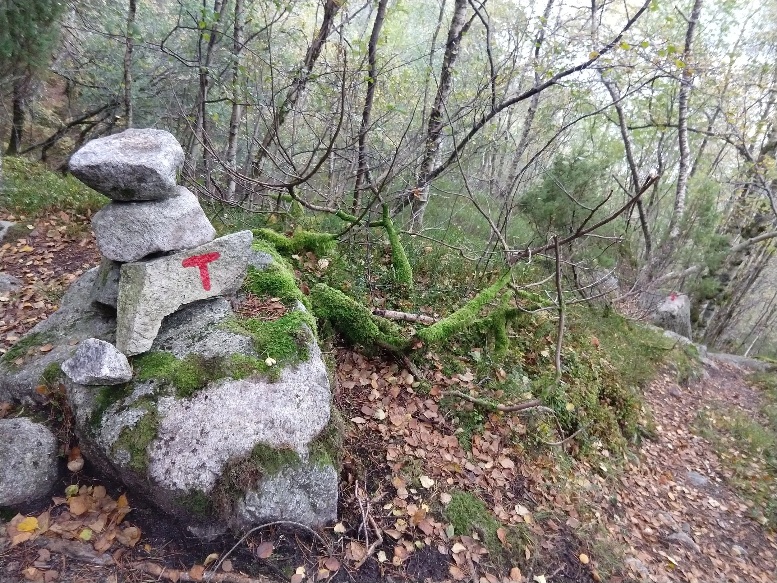 Trail1.jpg