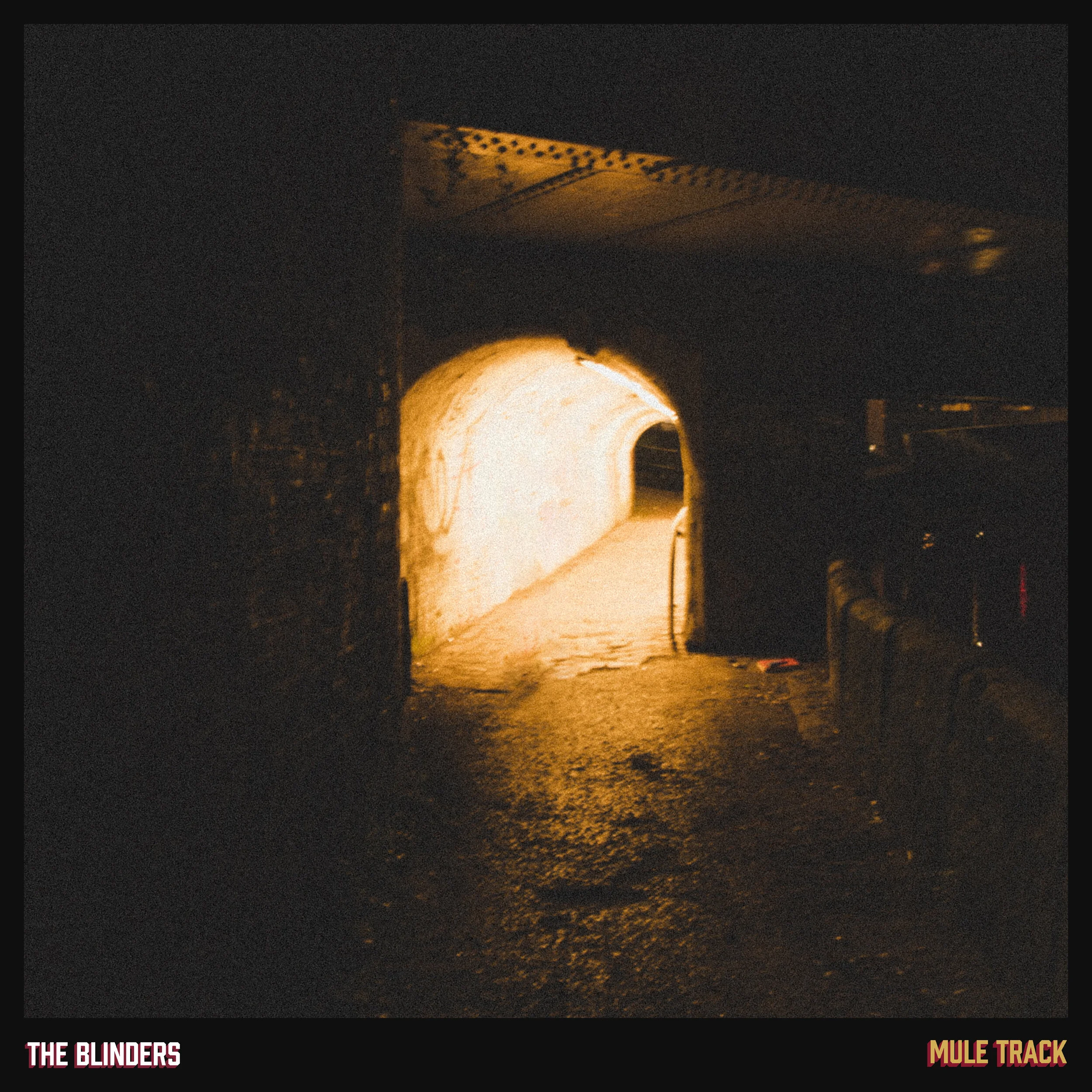 Mule Track Empty.jpg