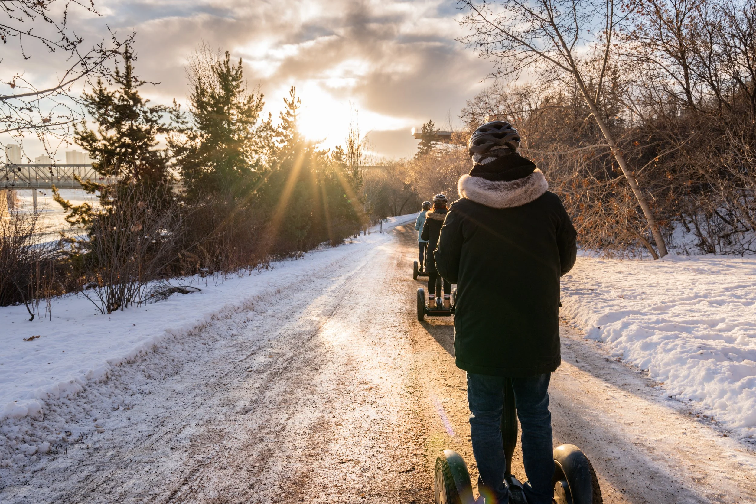 seg in trees winter.jpg