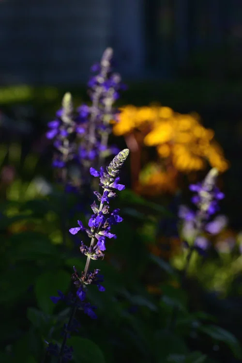 2014-08-20+06.41.36.jpg
