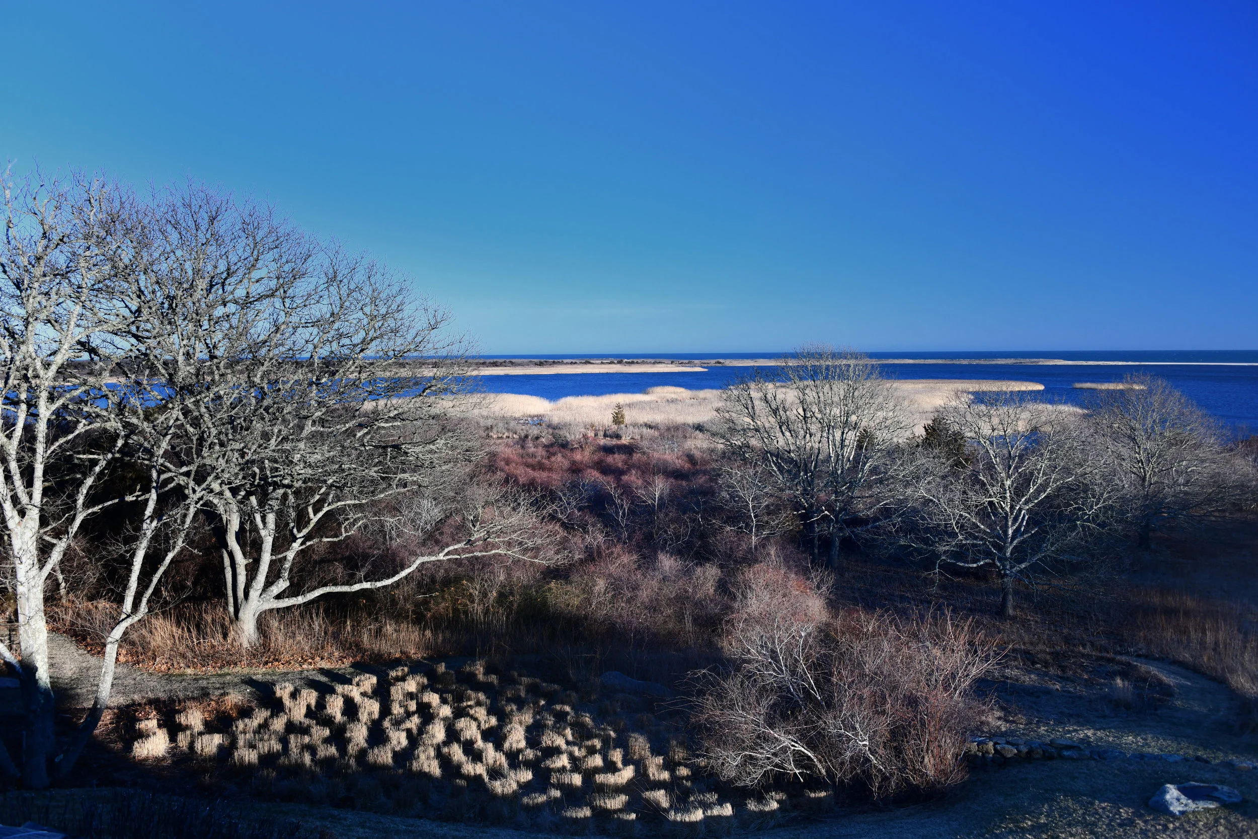 Winter on Pond.jpg