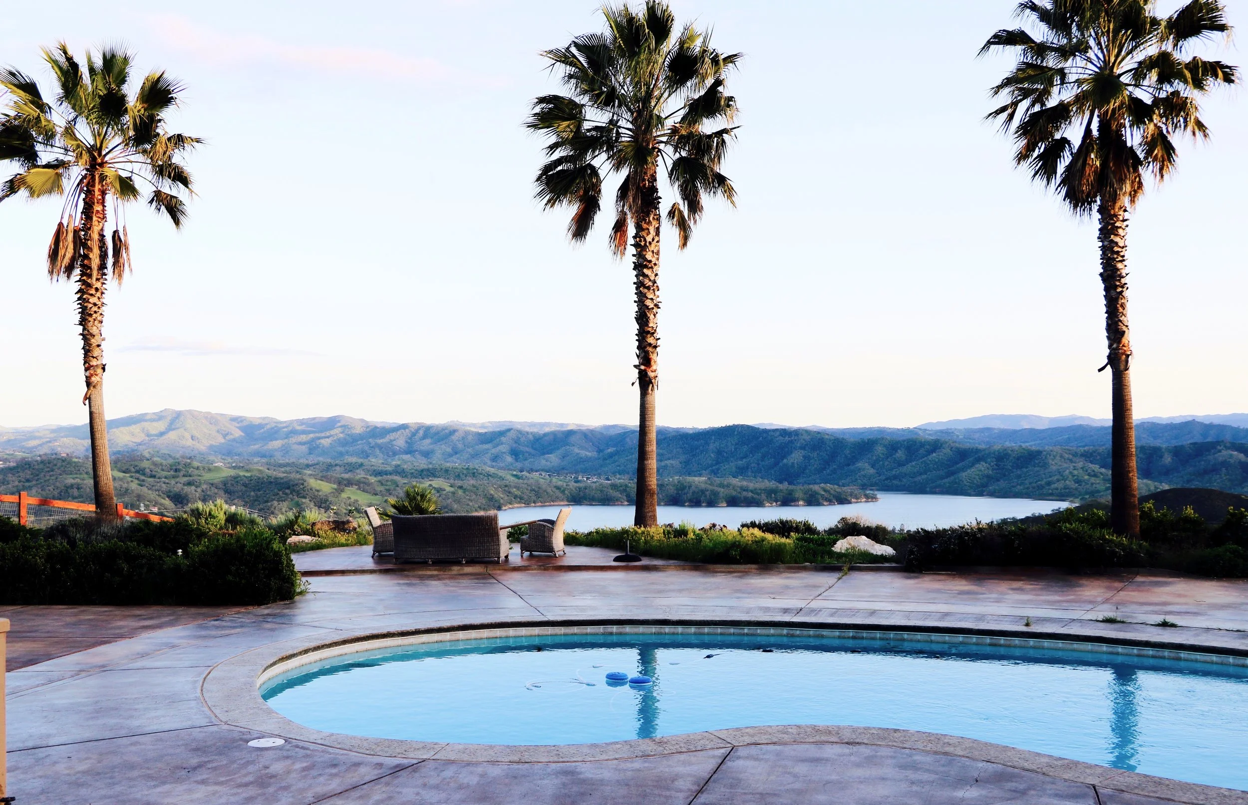 poolpalms_Fotor.jpg