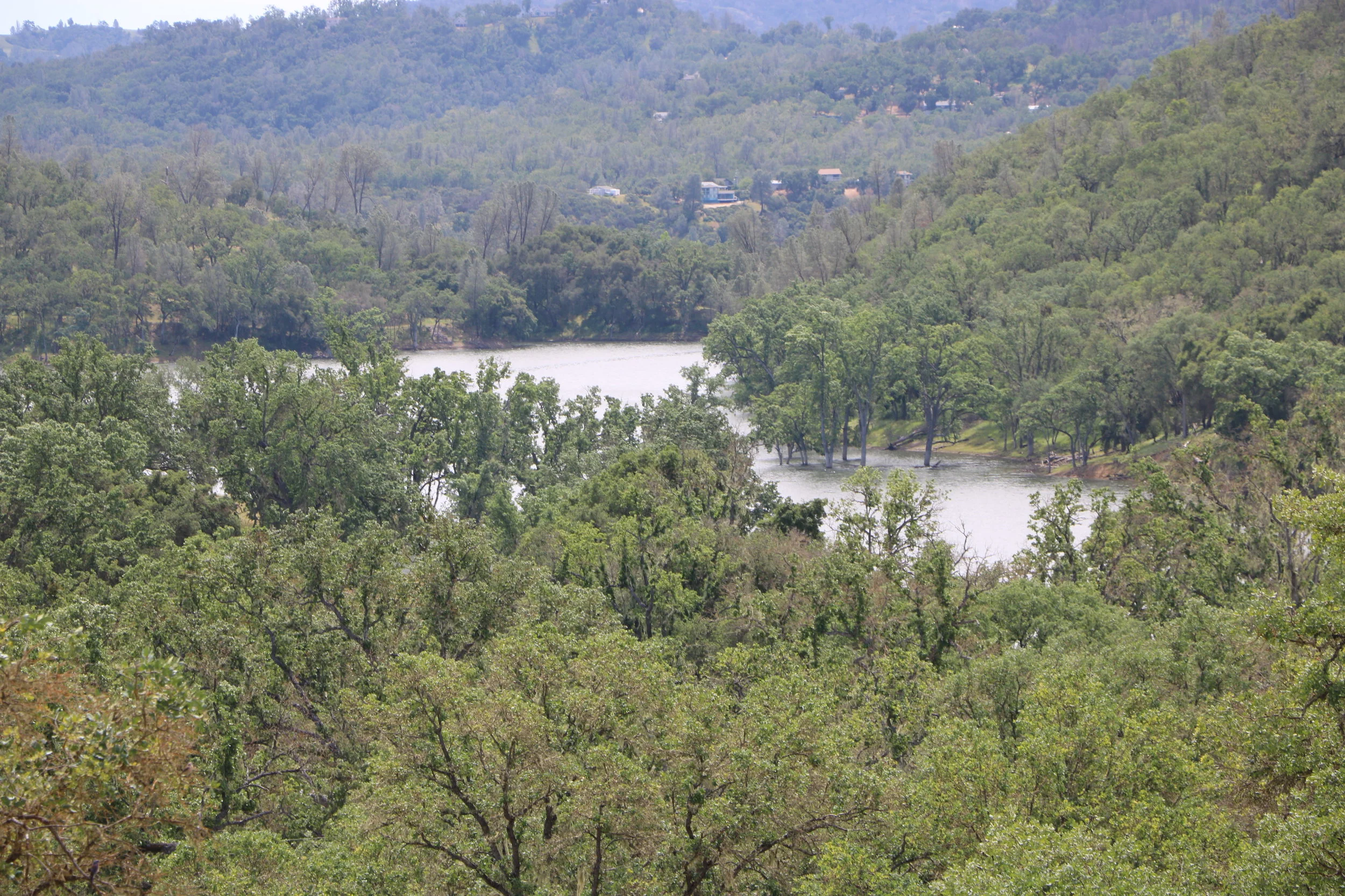 lakevoew.JPG