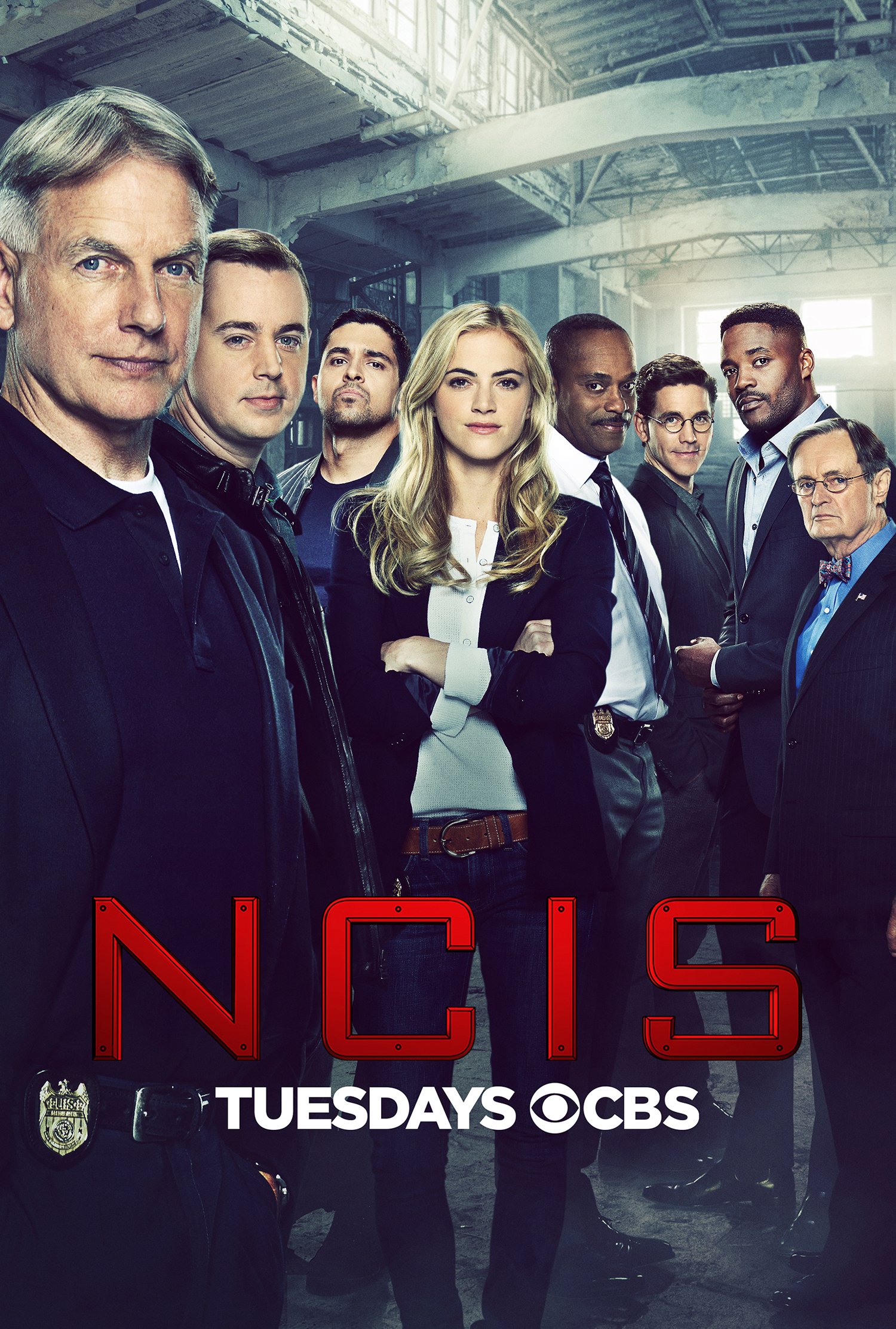 NCIS key art: the ensemble cast standing in an aircraft hangar under the red NCIS title.