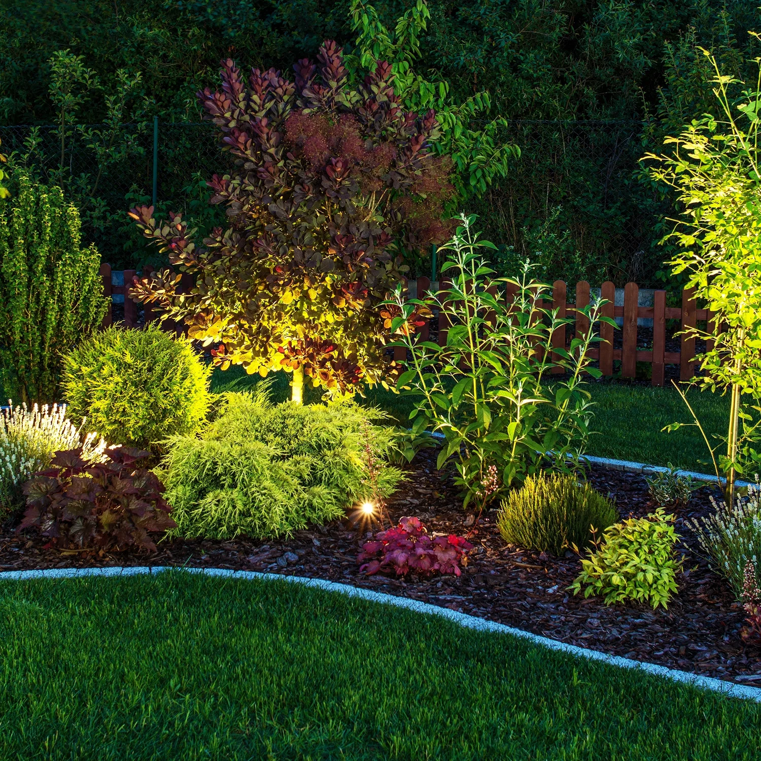 gallery-service-softscape-lighting.jpg