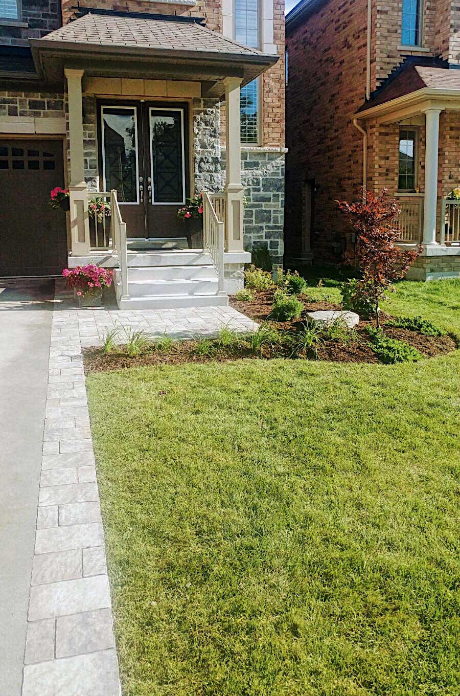 softscape - after