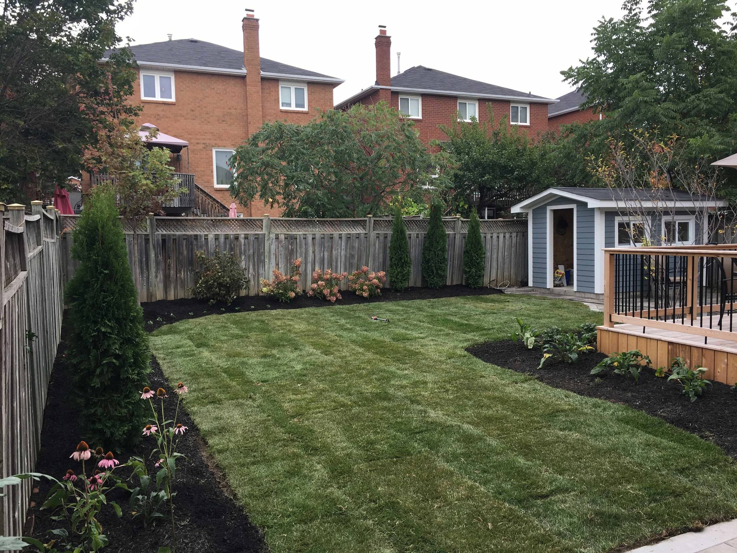SOD INSTALLATION - AFTER