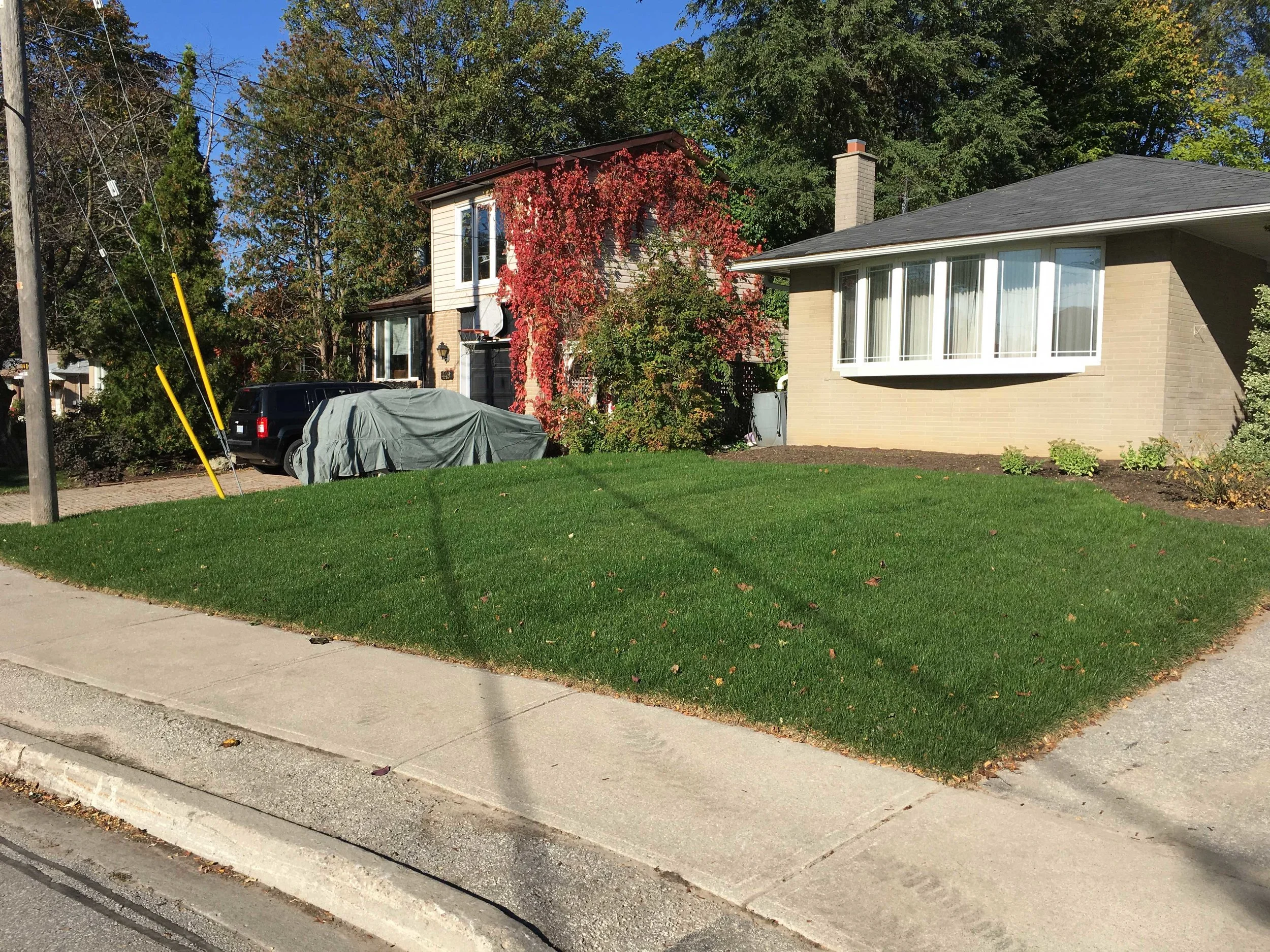 SOD INSTALLATION - AFTER