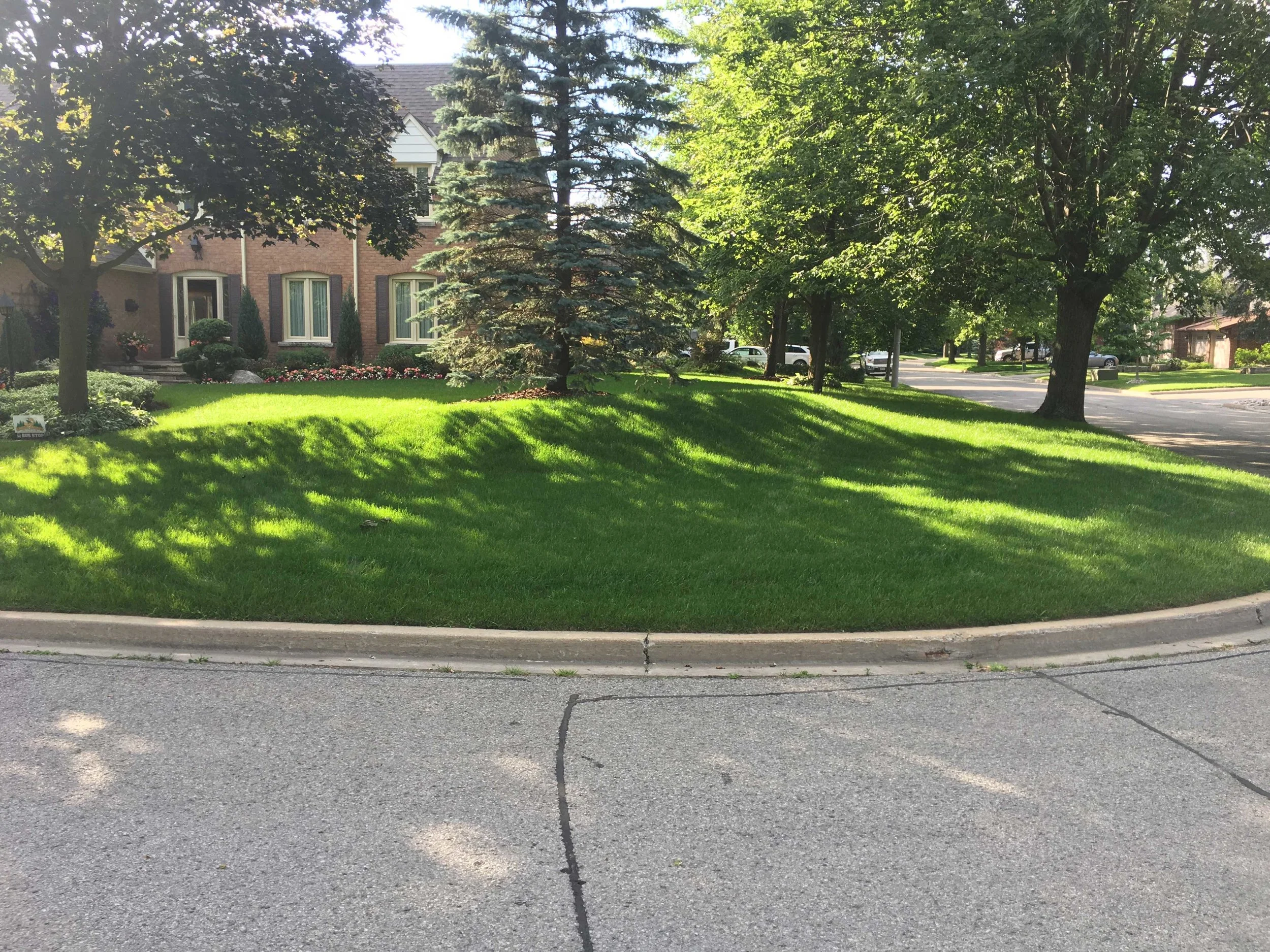 SOD INSTALLATION - AFTER