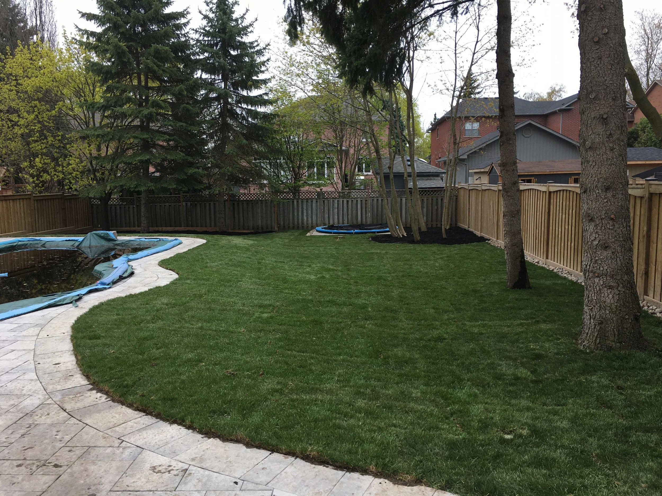 SOD INSTALLATION - AFTER