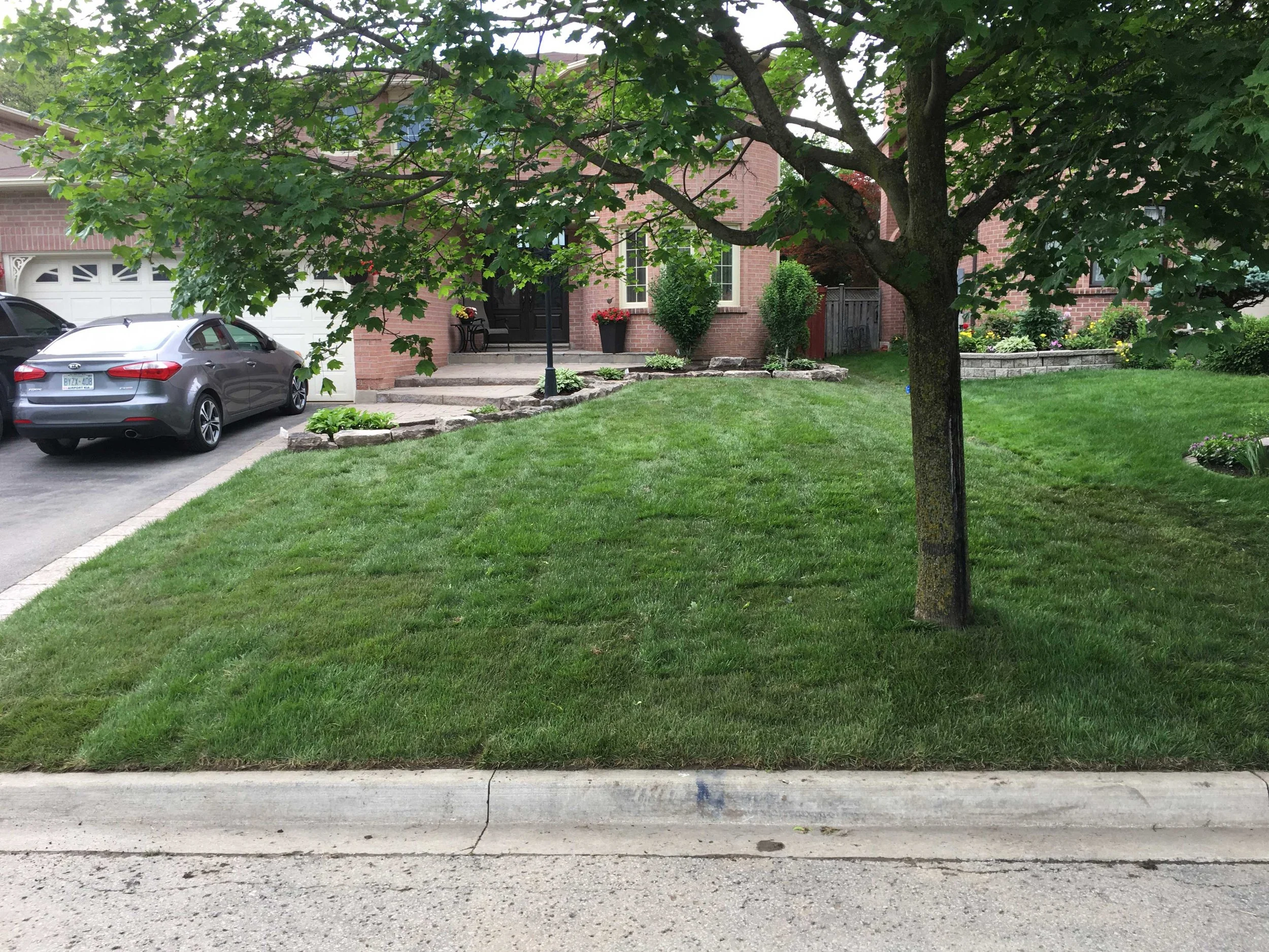 SOD INSTALLATION - AFTER