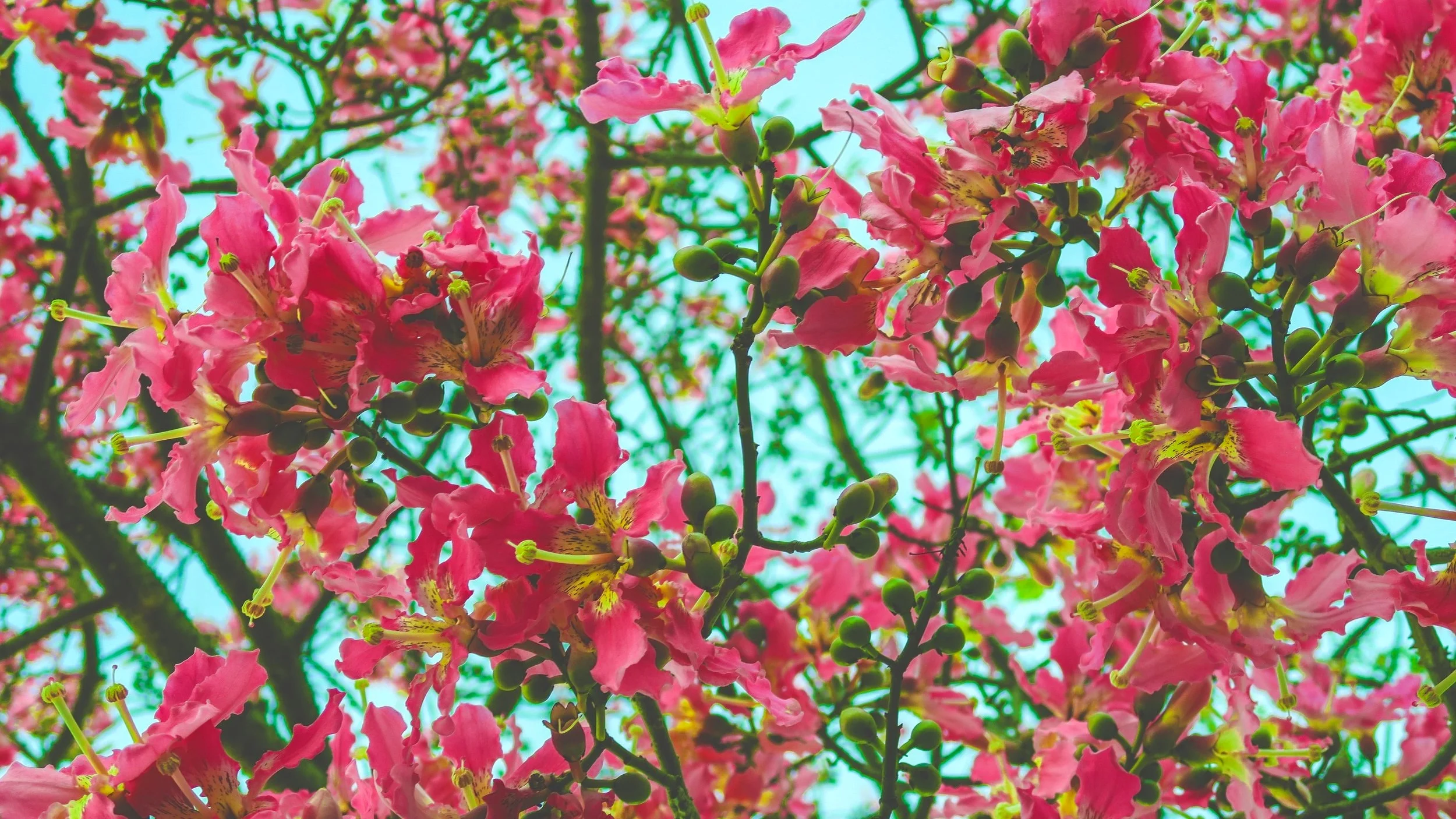 joshua-coleman-mqoPbqrengk-unsplash.jpg