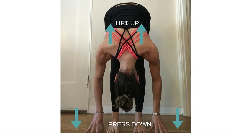 Forward Fold
