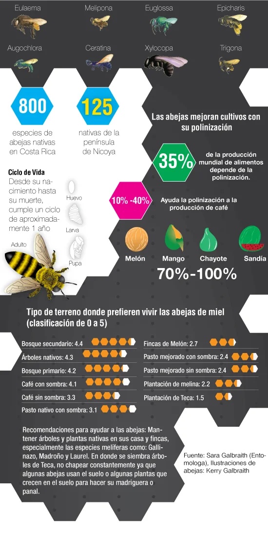 La Voz graphic.jpg