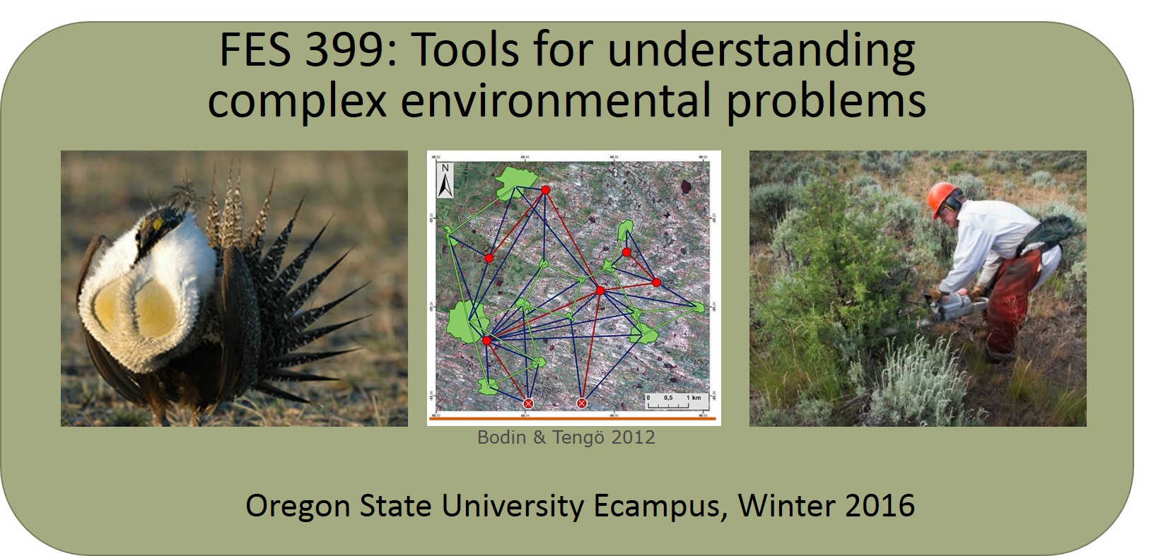 DESIGNED AND TAUGHT FES 399 FOR OREGON STATE UNIVERSITY ECAMPUS
