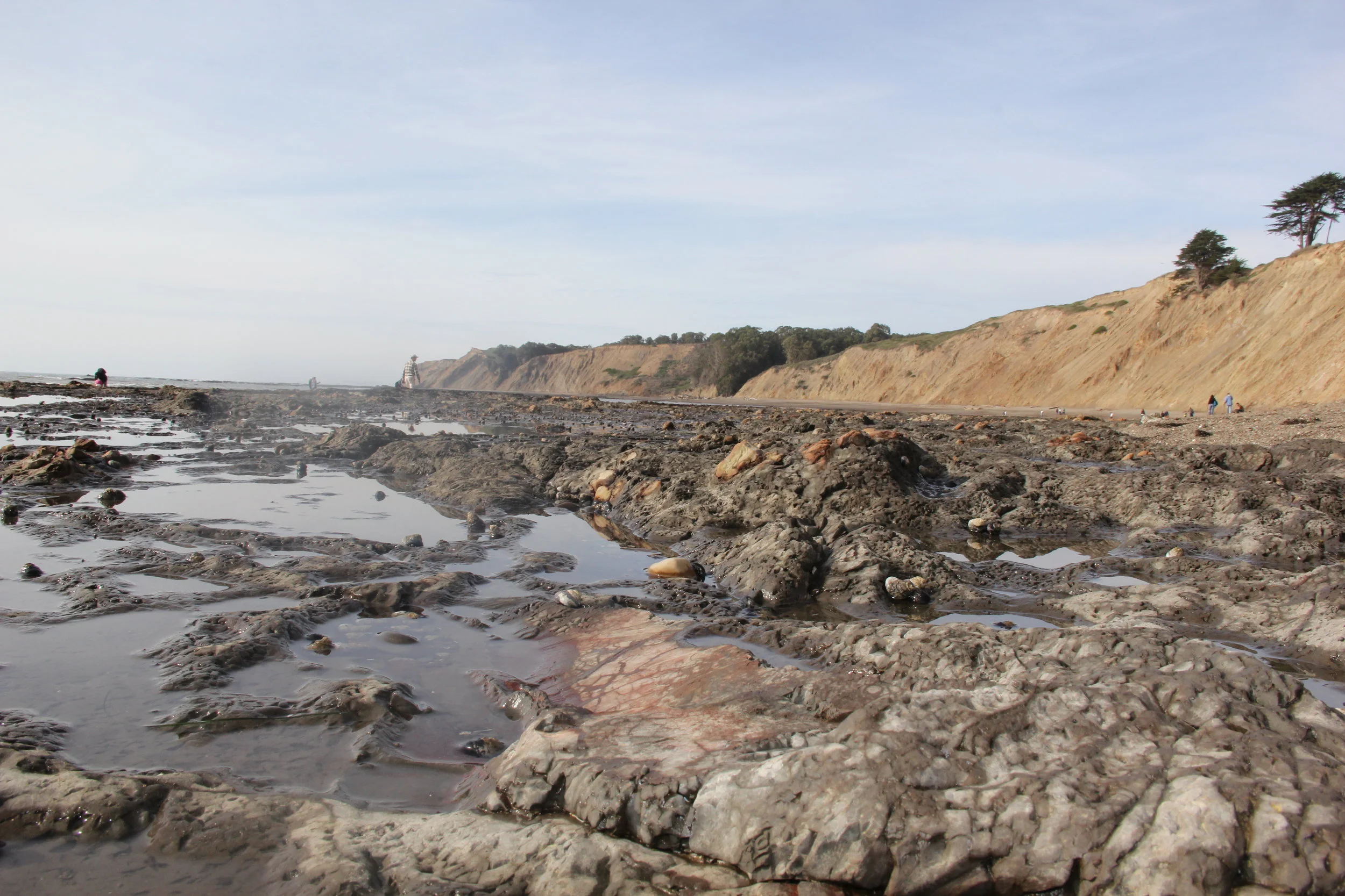 MPA Watch Field Training at Agate Beach