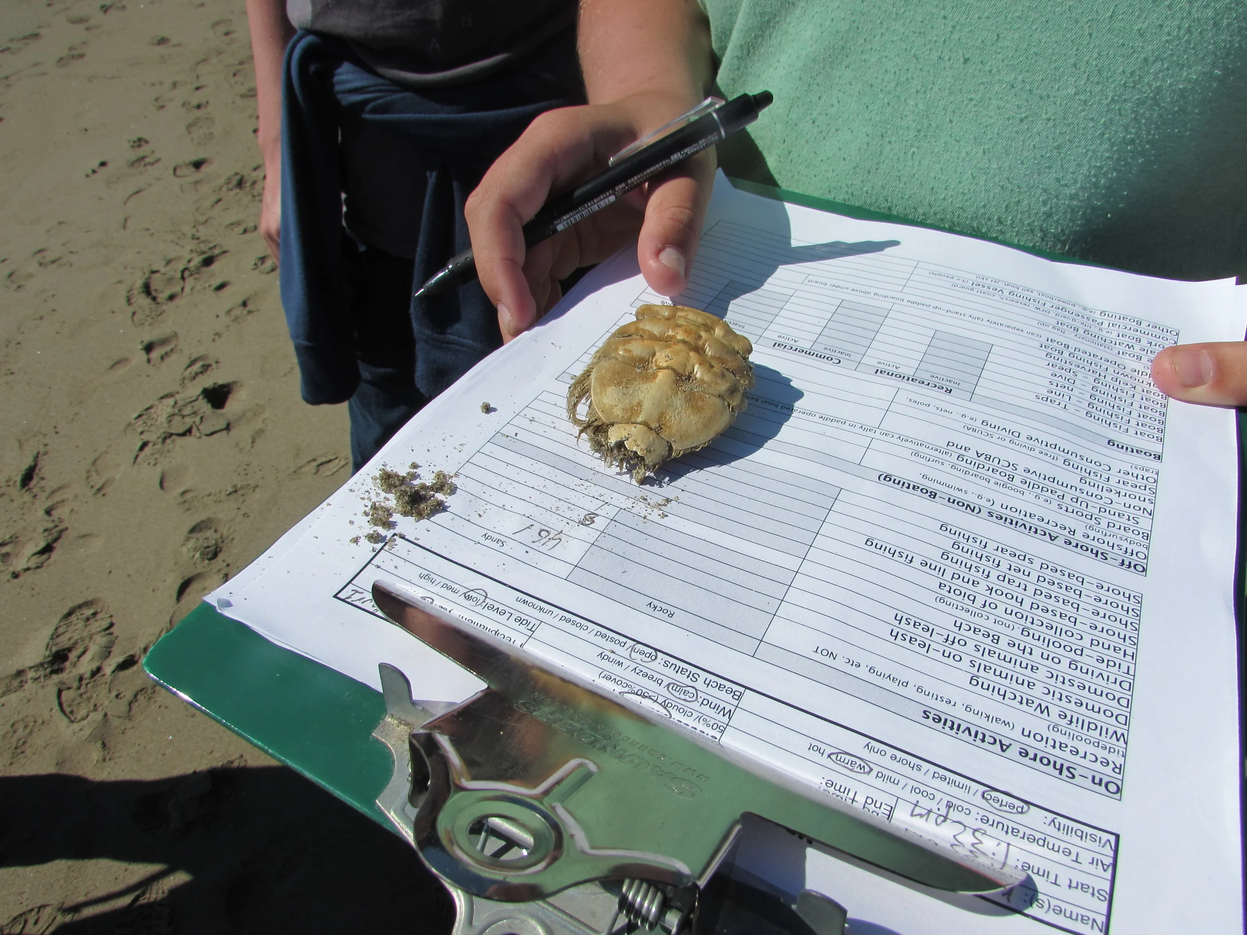 MPA Watch Field Training and Limantour Beach