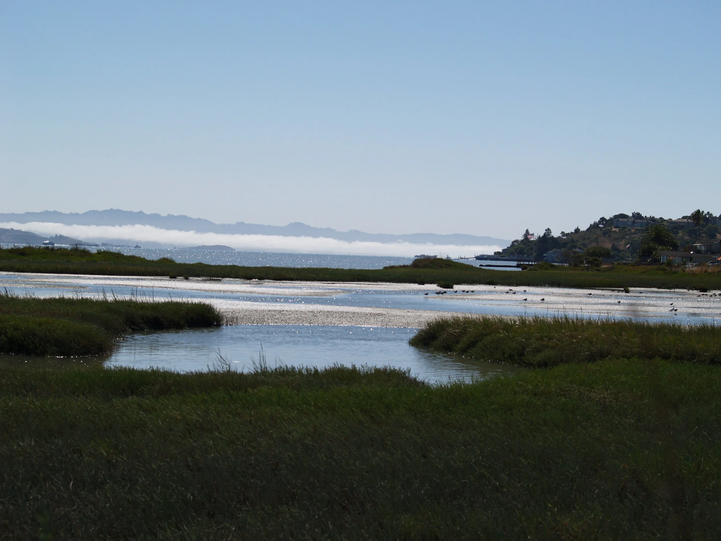 MPA Watch Field Training at Corte Madera Marsh