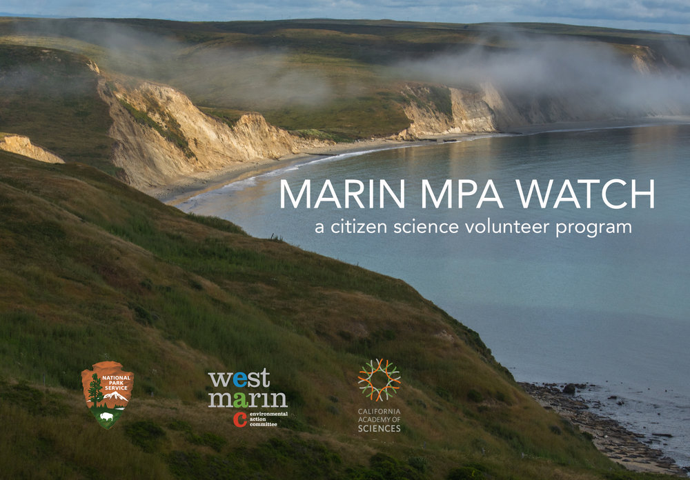 Marin MPA Watch Banner_DrakesBeach.jpg