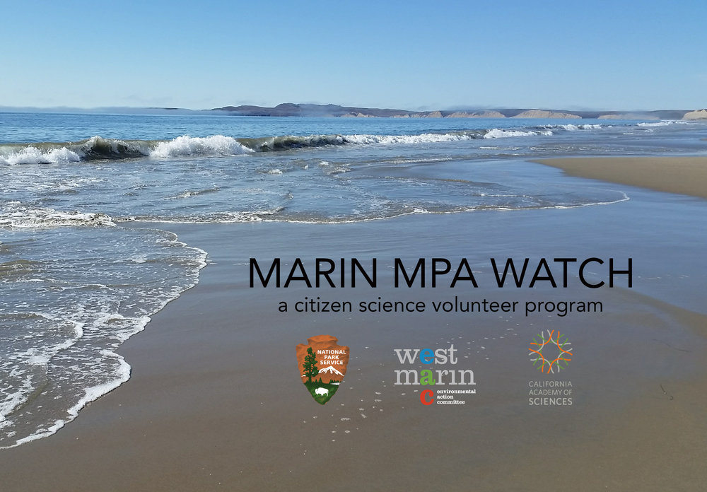 Marin MPA Watch Banner_LimantourBeach.jpg