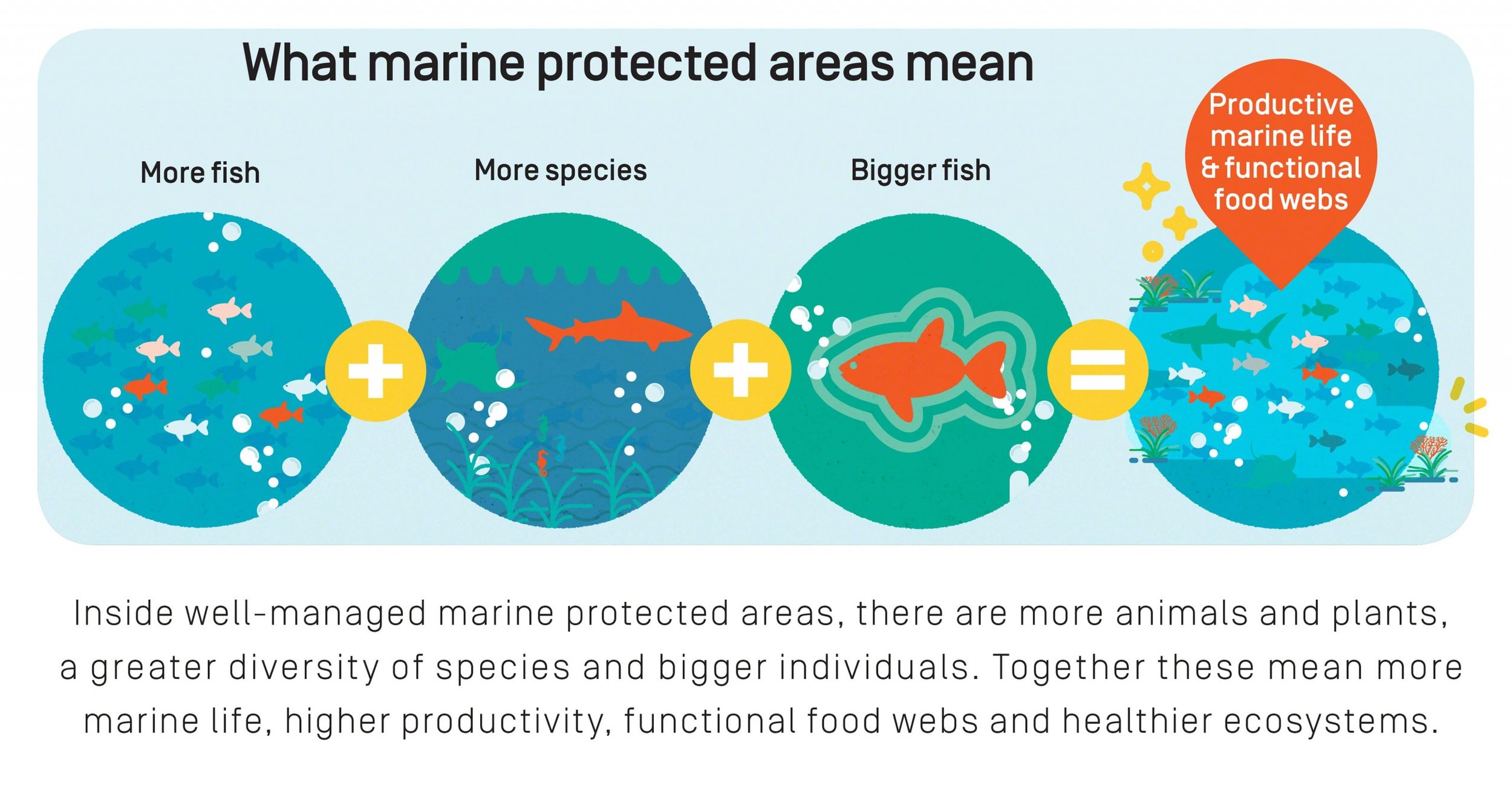 SOSMag-Iss05-Art06-Im004-©IvanColic-AfroGraphique-SOSFCopyright-MarineProtectedAreas-2560x1354.jpg