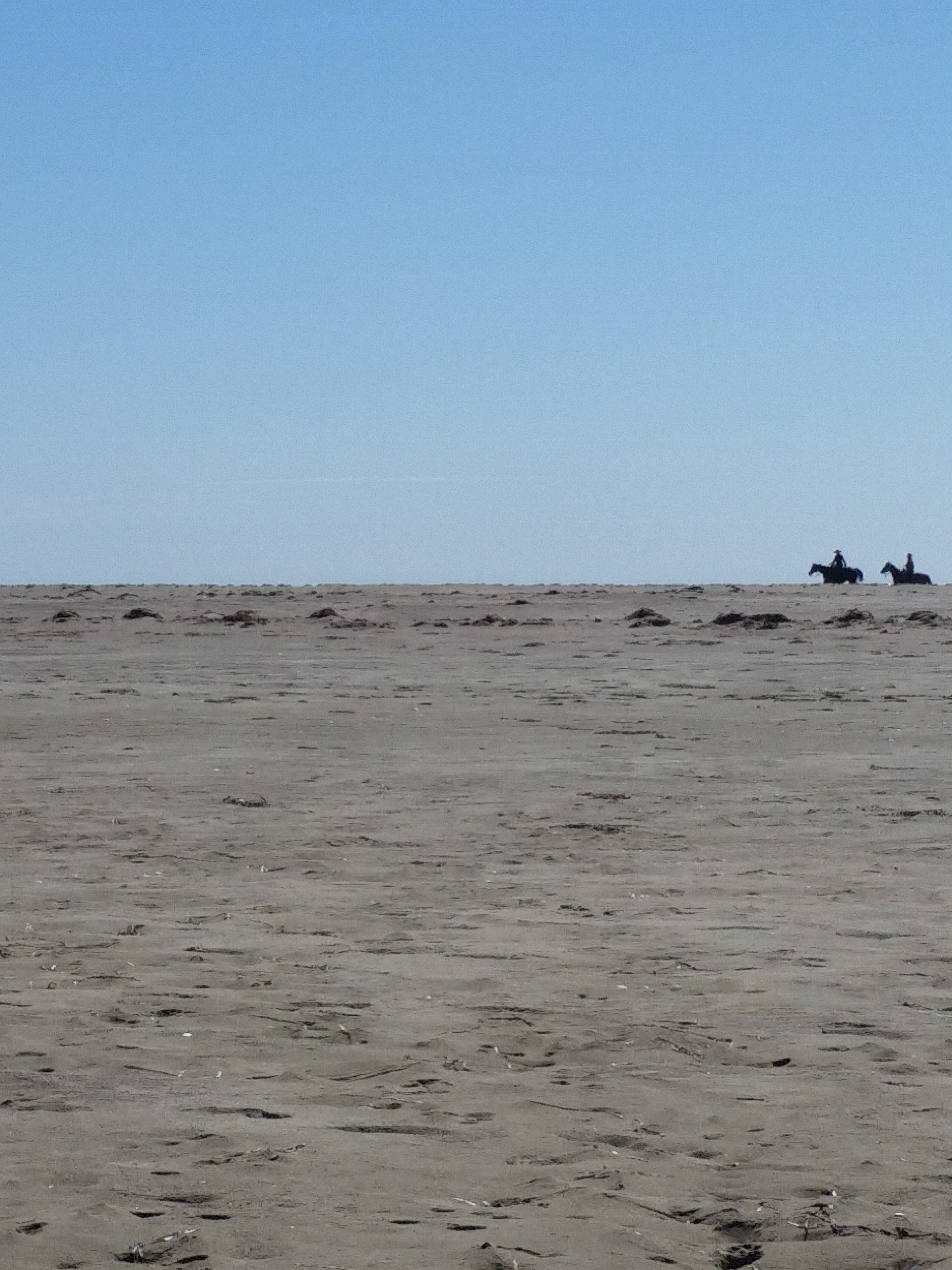 IMG_20161009_131309.jpg