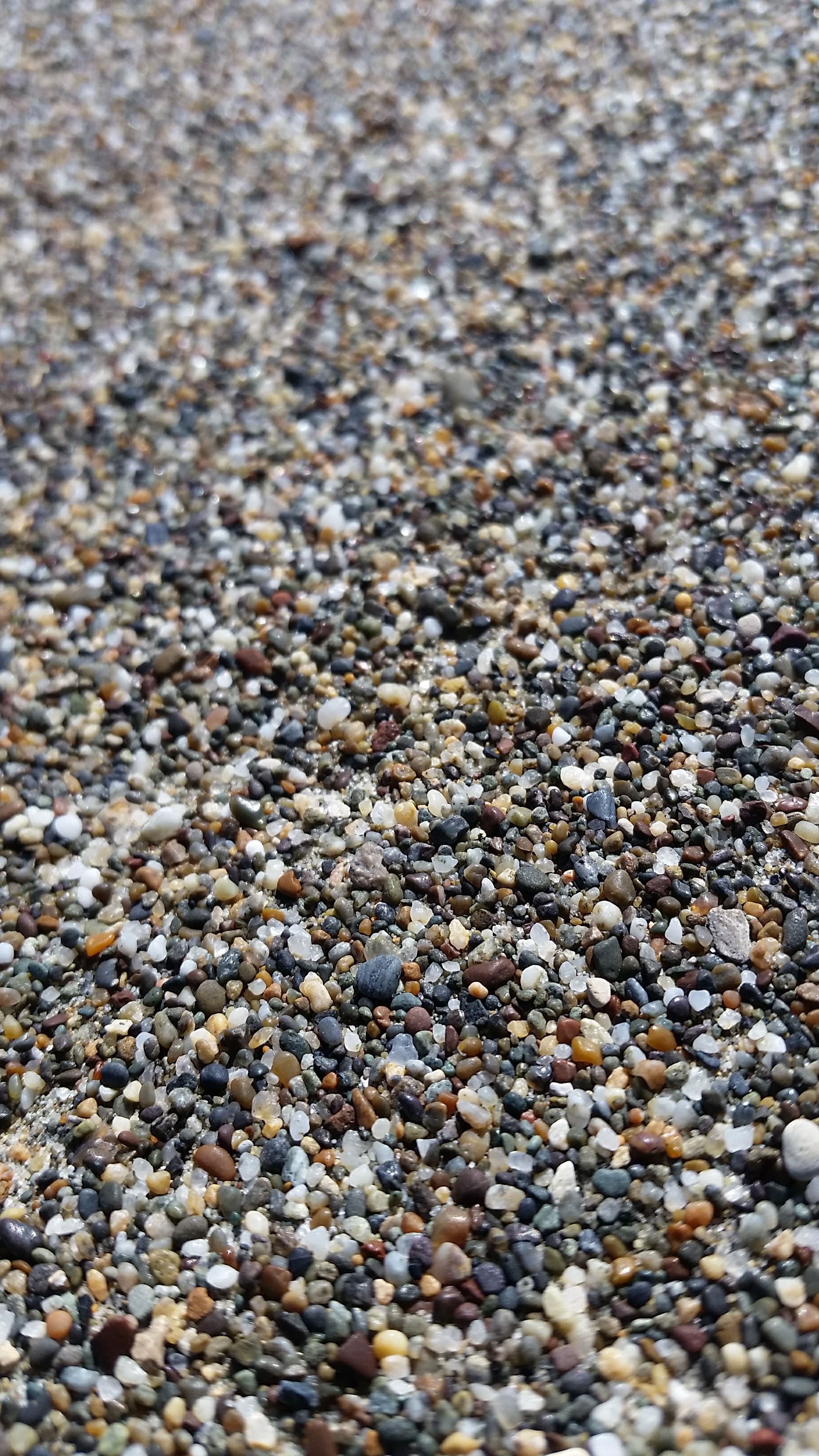 20161009_131523.jpg