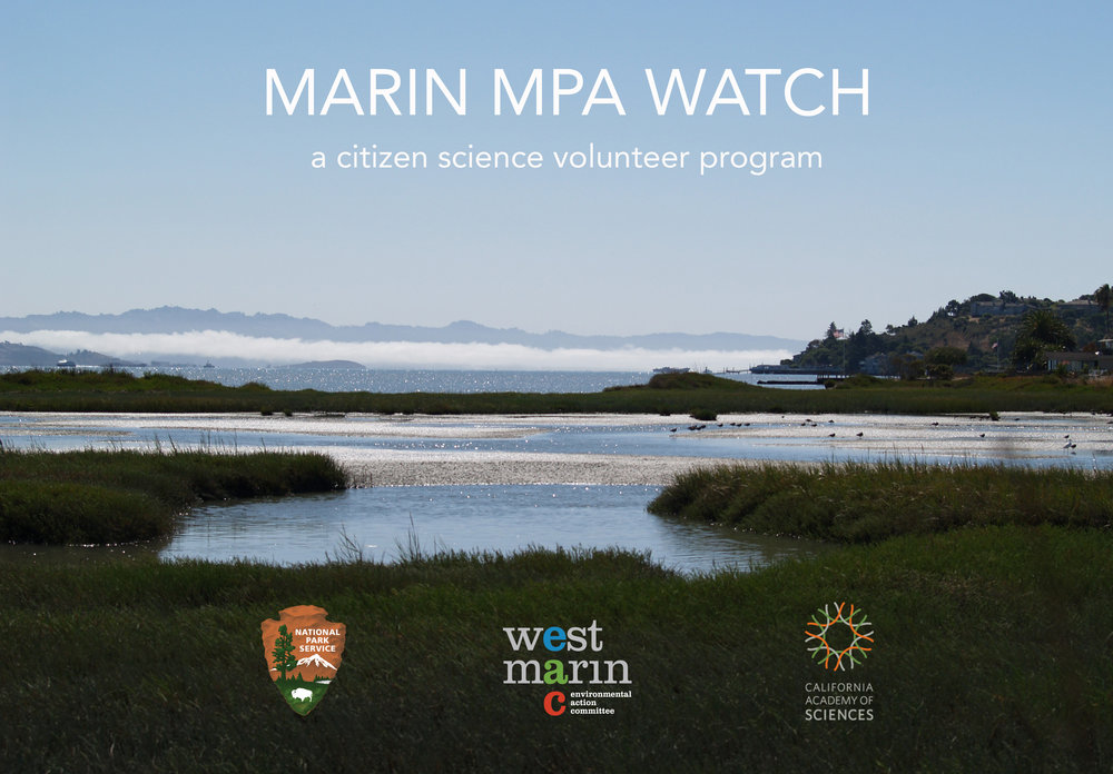 Marin MPA Watch Banner_CorteMadera.jpg