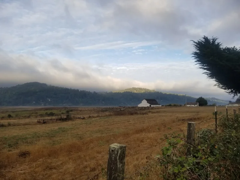 20170929_074929.jpg