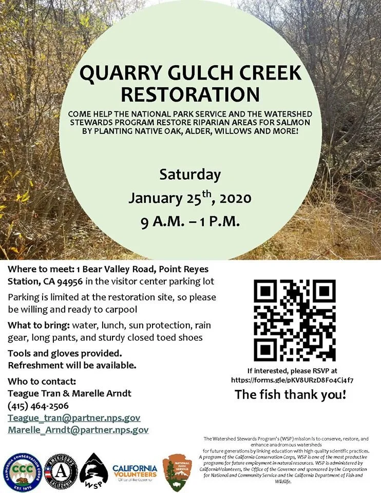 Quarry Gulch Creek Restoration 