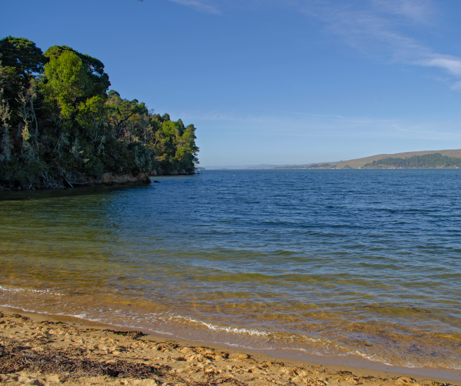 Clean Air and Water — EAC