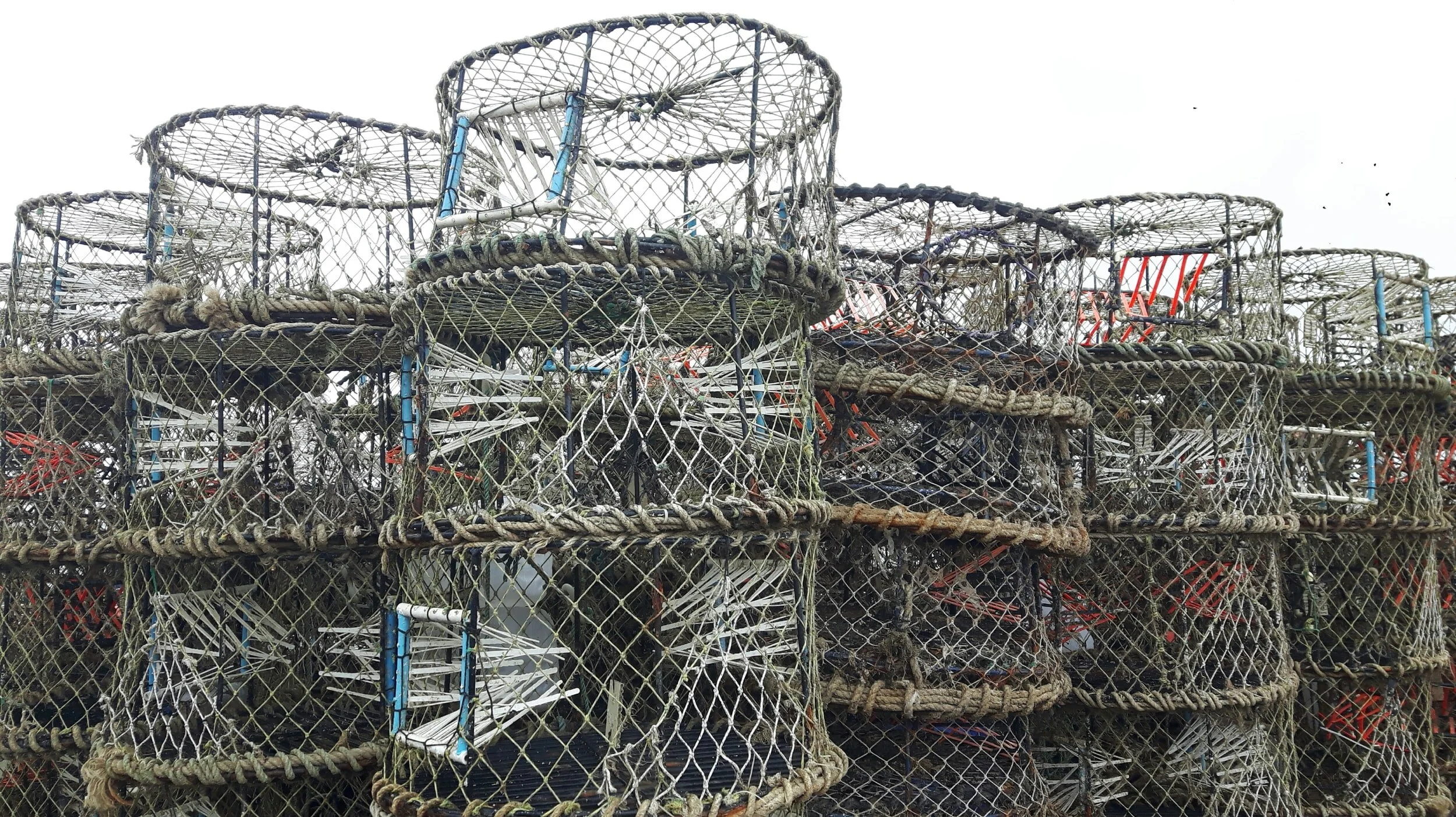 MPA Decadal Management Review: Commerical Fishing Community