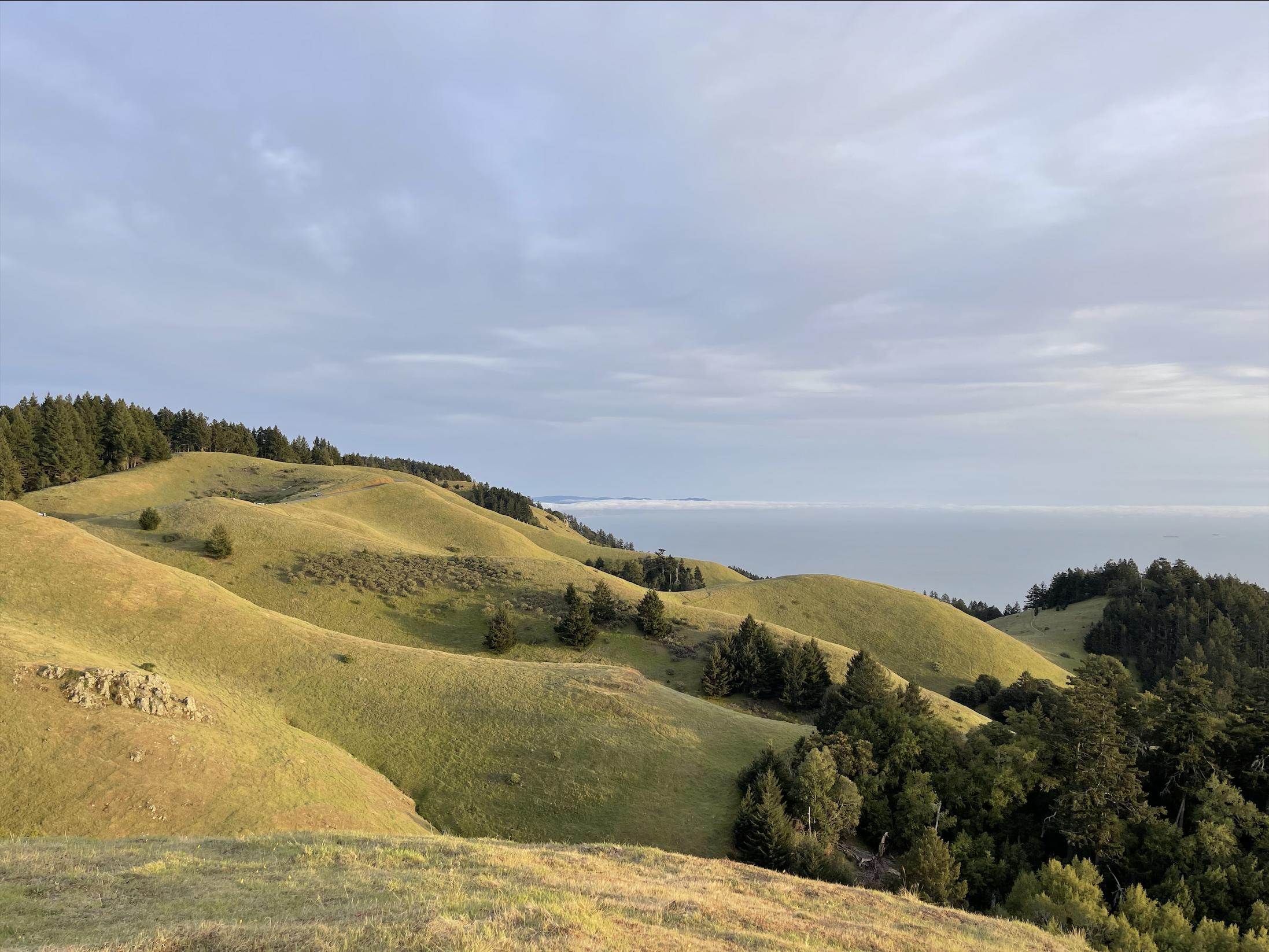 West Marin Fund  Point Reyes Station CA