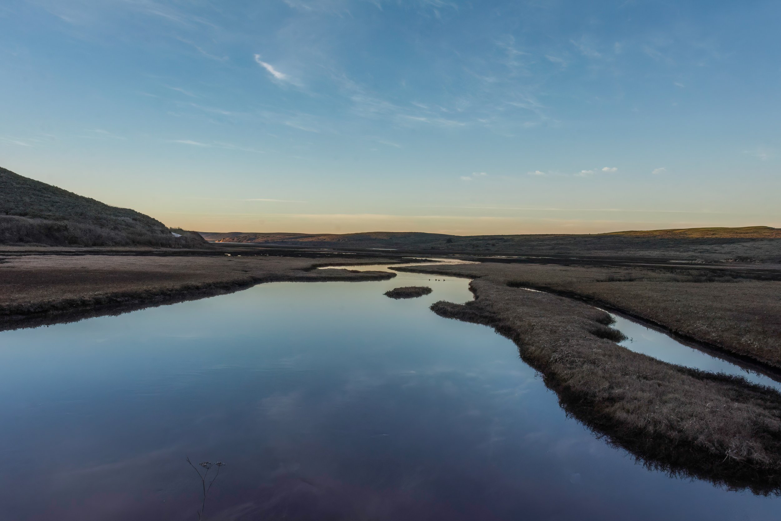 Drakes_Estero_Wetlands (Carlos P).jpg