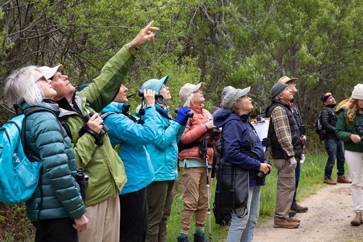   Point Reyes Birding &amp; Nature Festival   April 19th - 21st, 2024   Learn More   