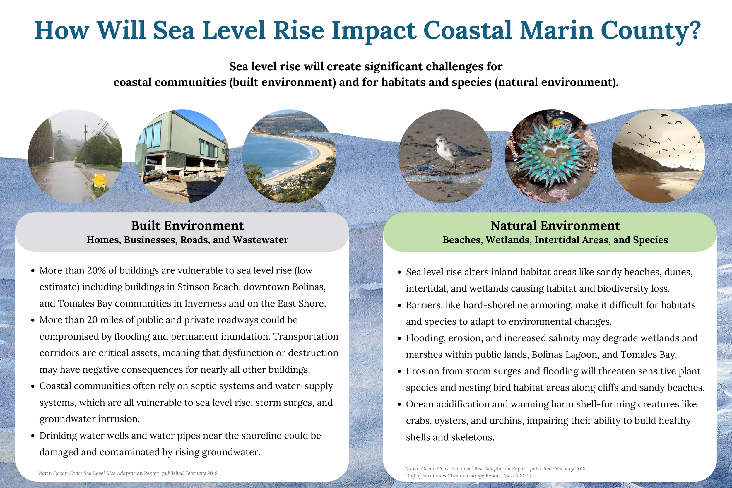 How Will Sea Level Rise Impact Marin County.png