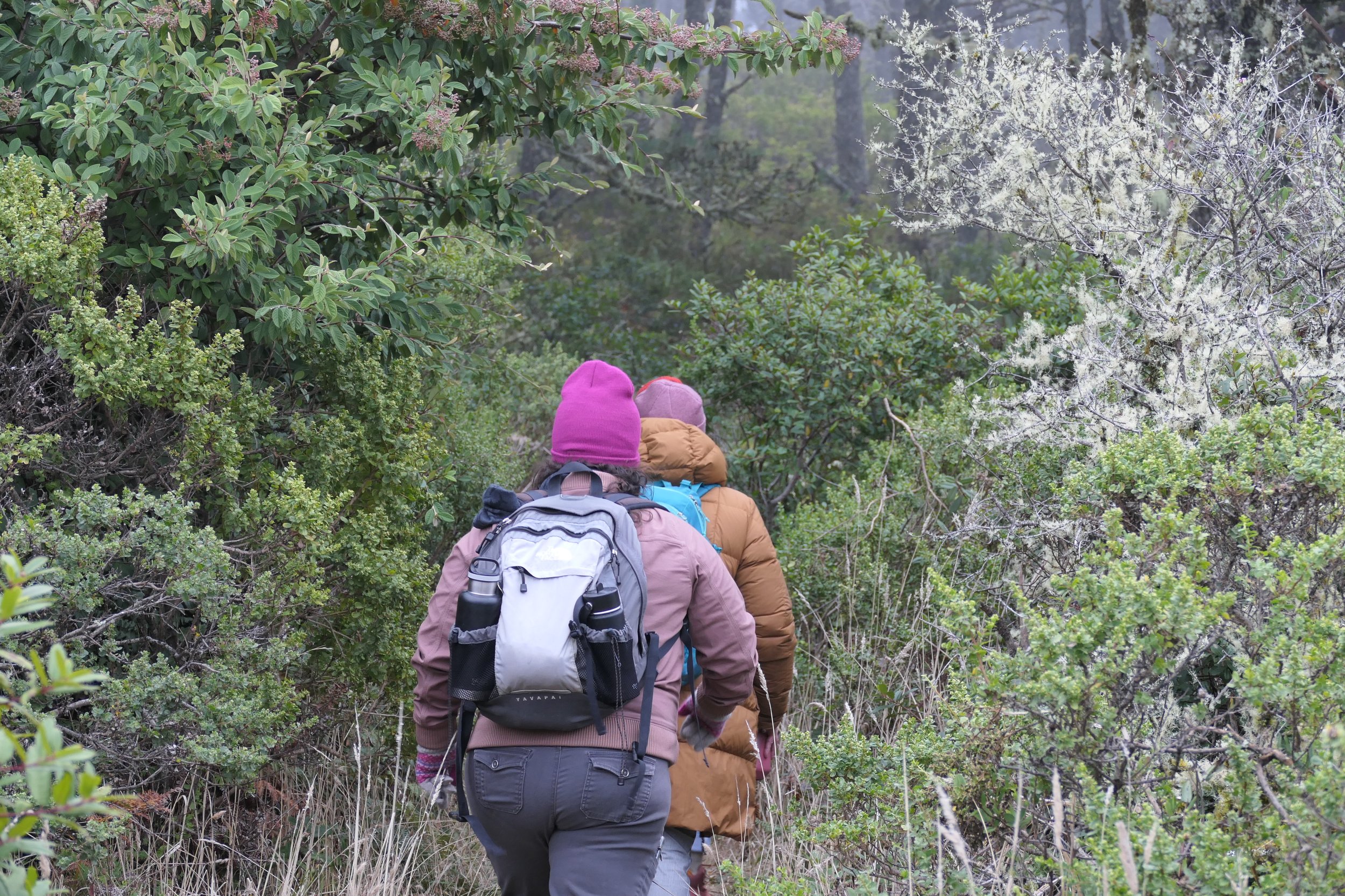 P1000472.JPG