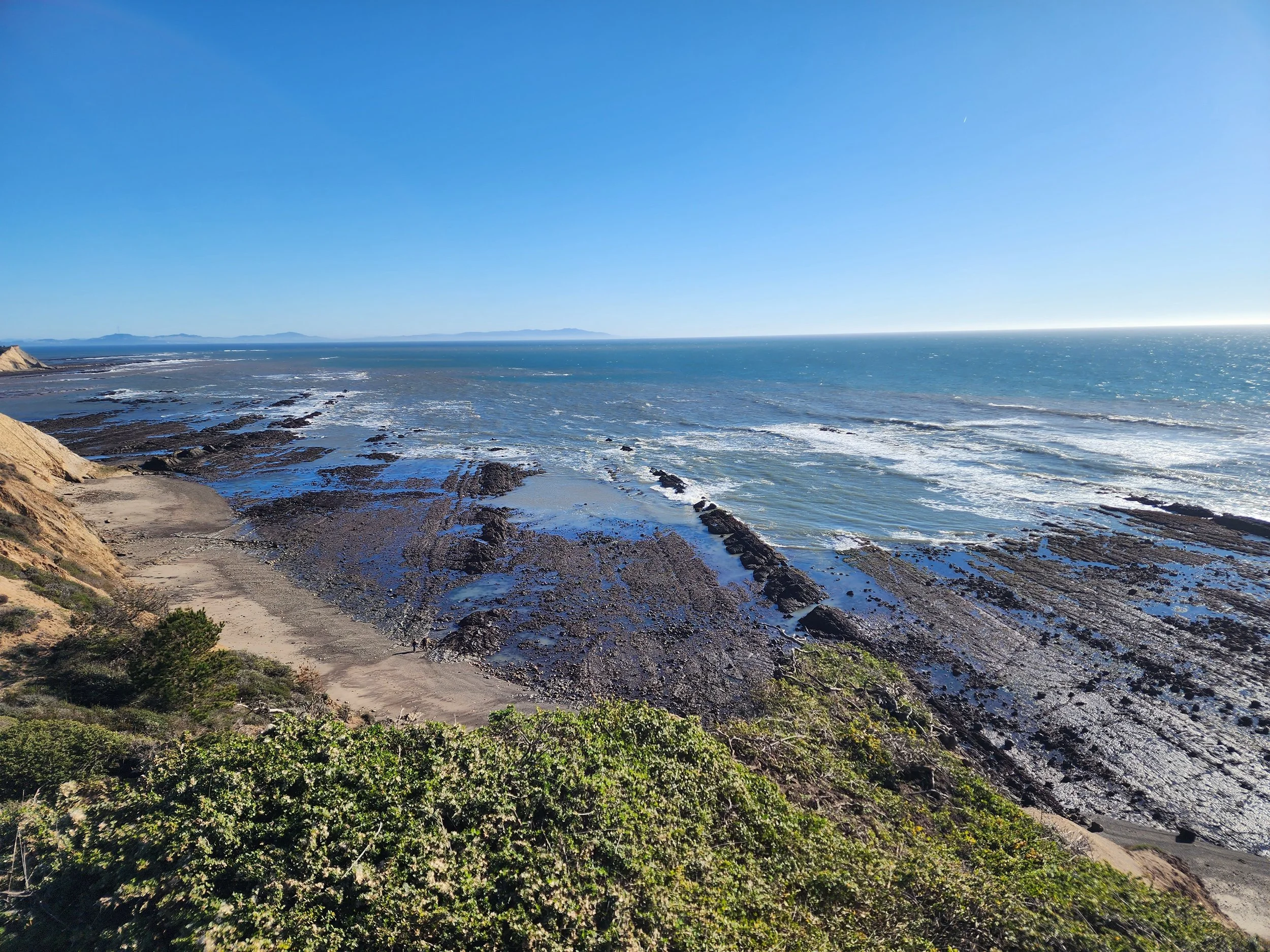 Duxbury Reef Petition Info Learn More