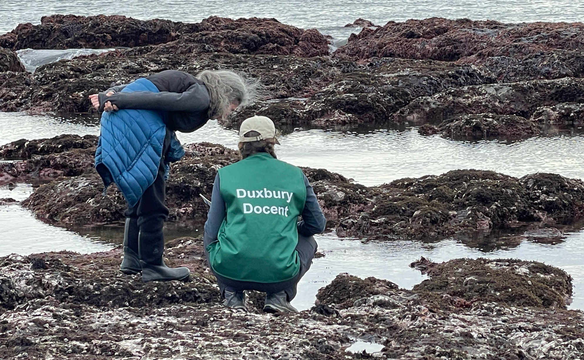   Become a Duxbury Docent       Training starts January 9!   Learn More  