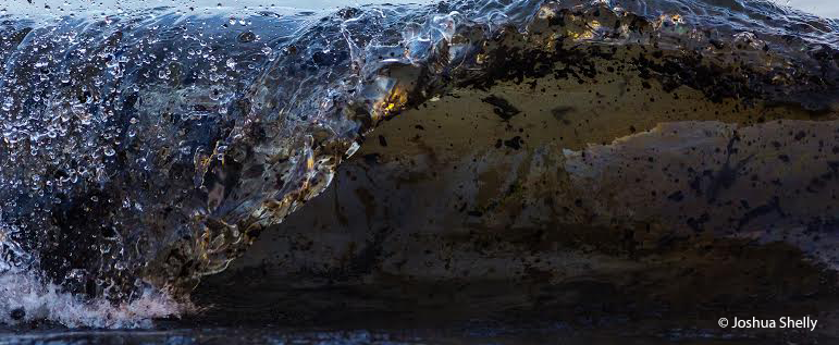   Oppose Offshore Oil   Comment Period Ends Jan 23. Photo Credit: Joshua Shelly   Learn More &amp; Submit Comments  