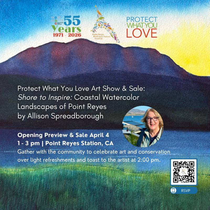 Shore to Inspire: Coastal Watercolor Creations of Point Reyes  with Allison Spreadborough