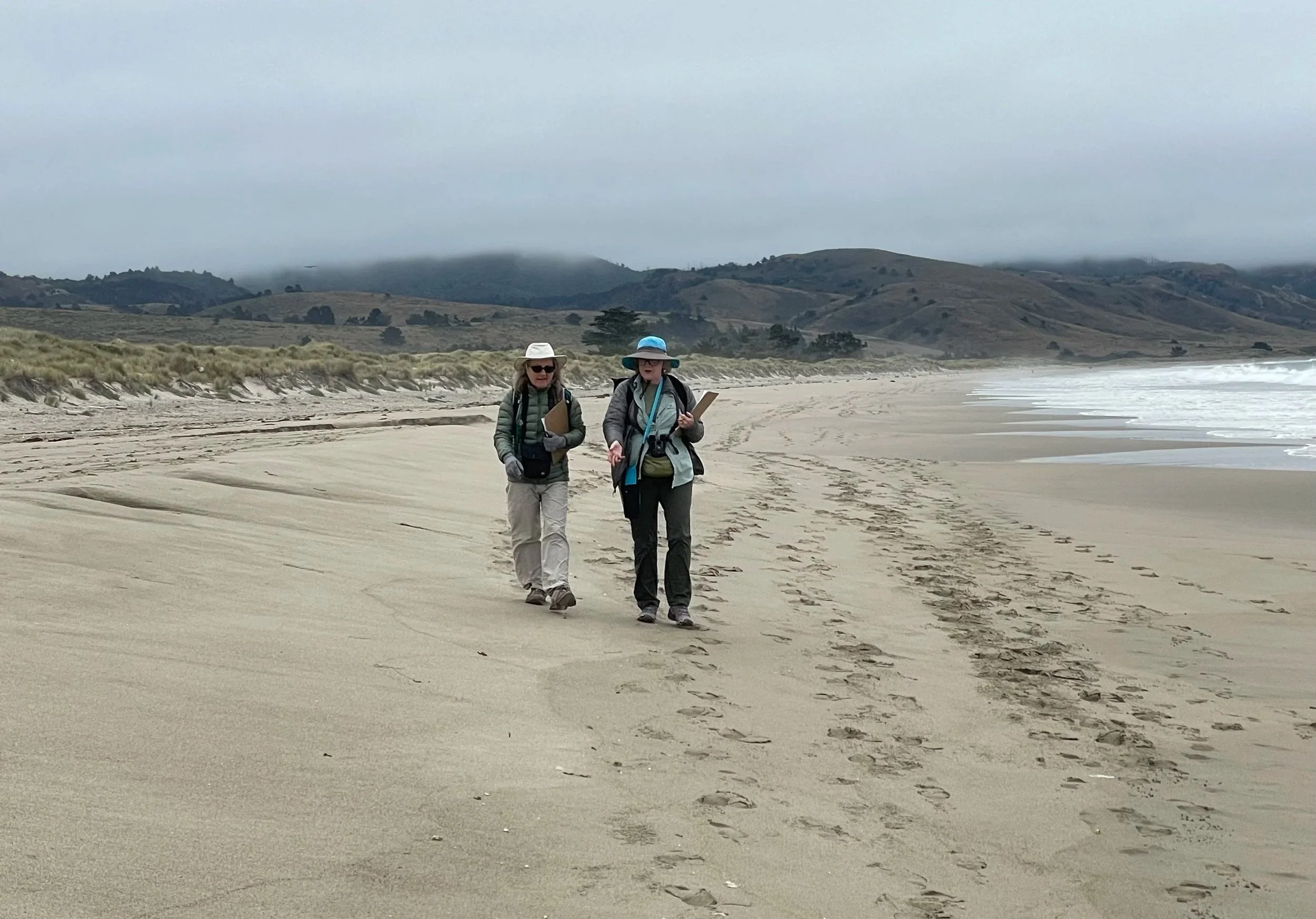 Marin MPA Watch Volunteer Training- Corte Madera Marsh
