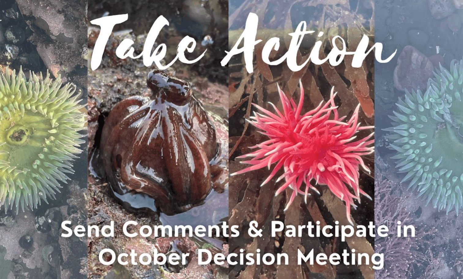 Duxbury Reef Petition - Fish and Game Commission Hearing
