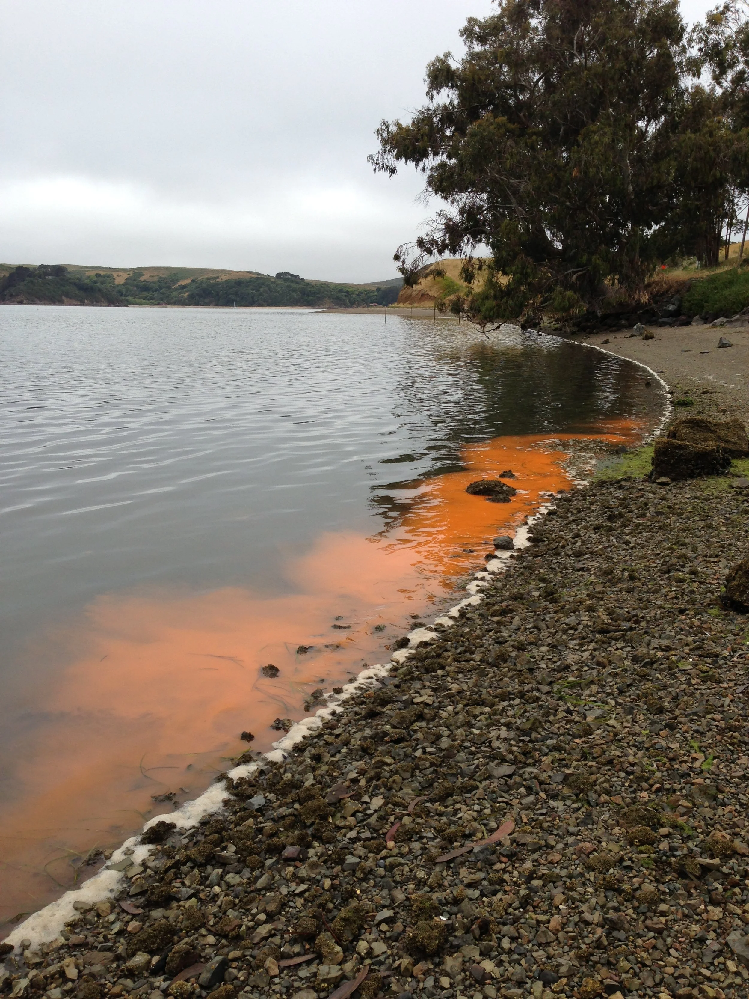 Clean Air and Water — EAC