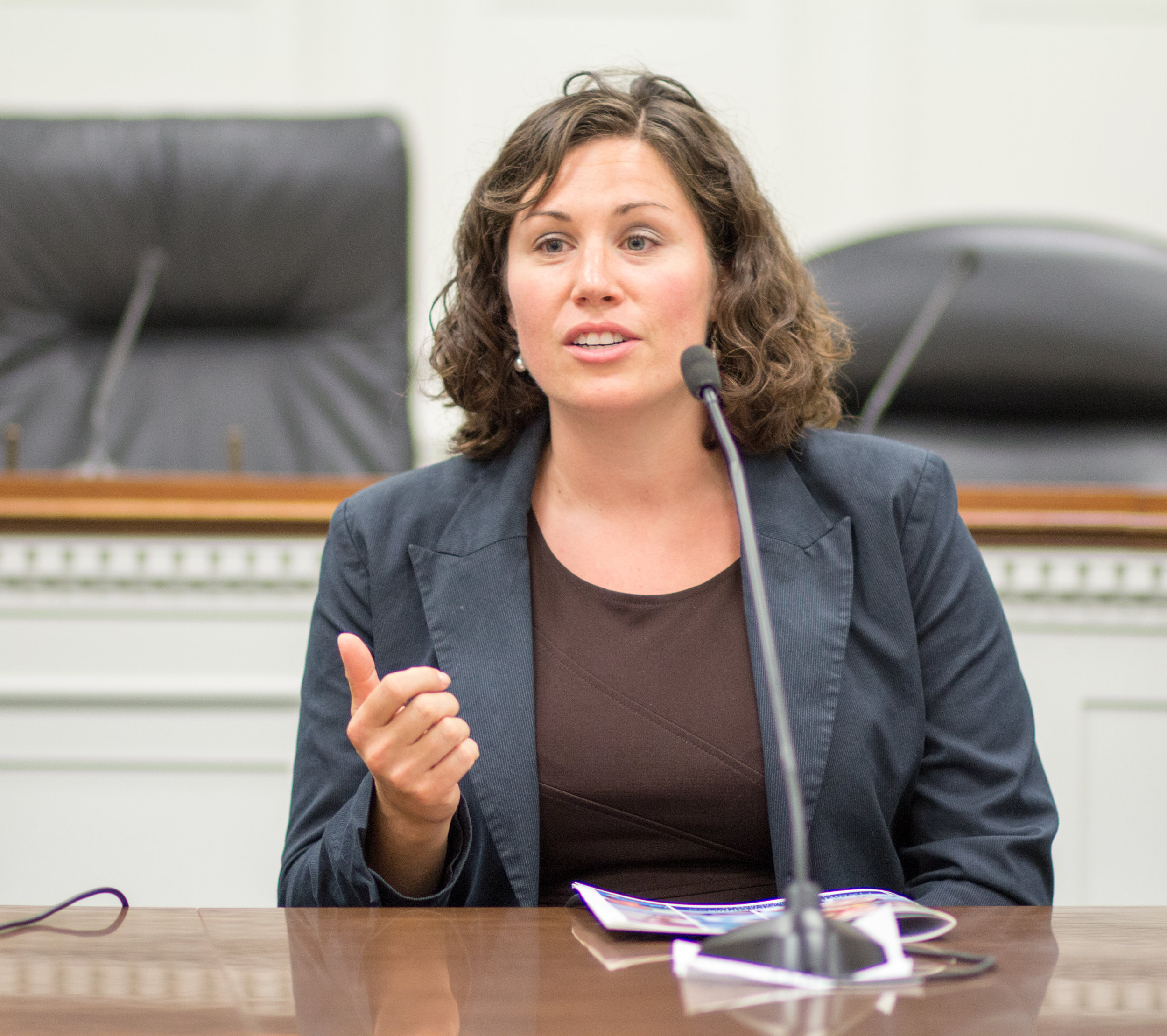 DC Interoperability Briefing 2016-3431.jpg