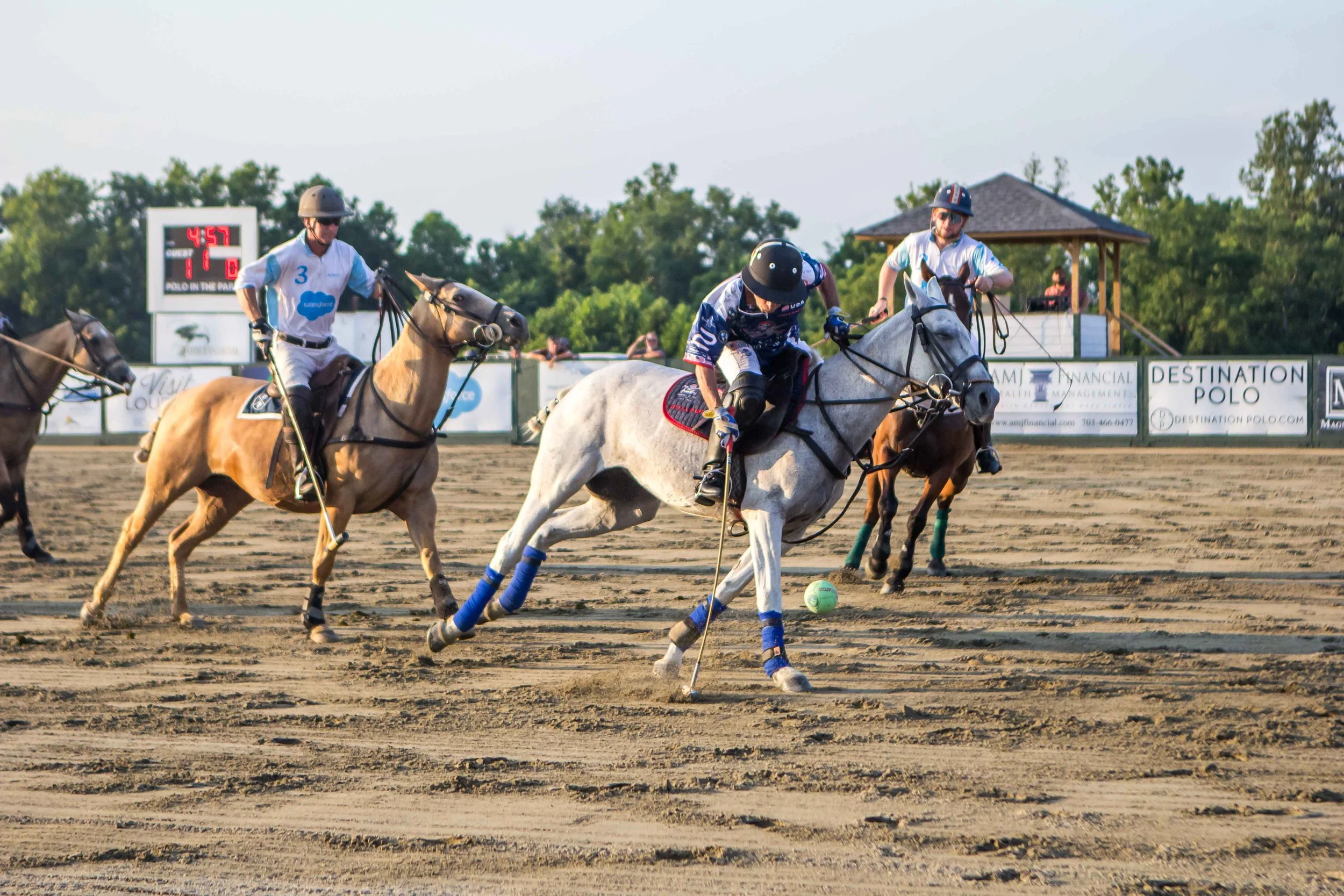 Best Of Polo in The Park - Morven Park July 26 2025 -24.jpg