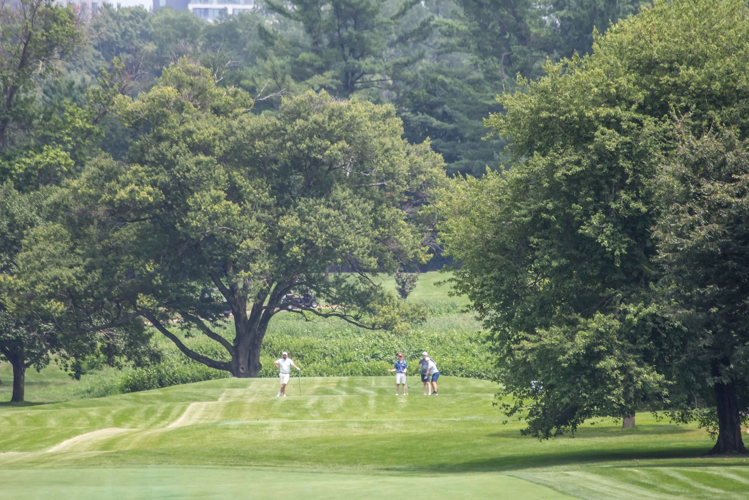 The Fieldhouse Classic VVFD - JULY 20 2026 _-148.jpg