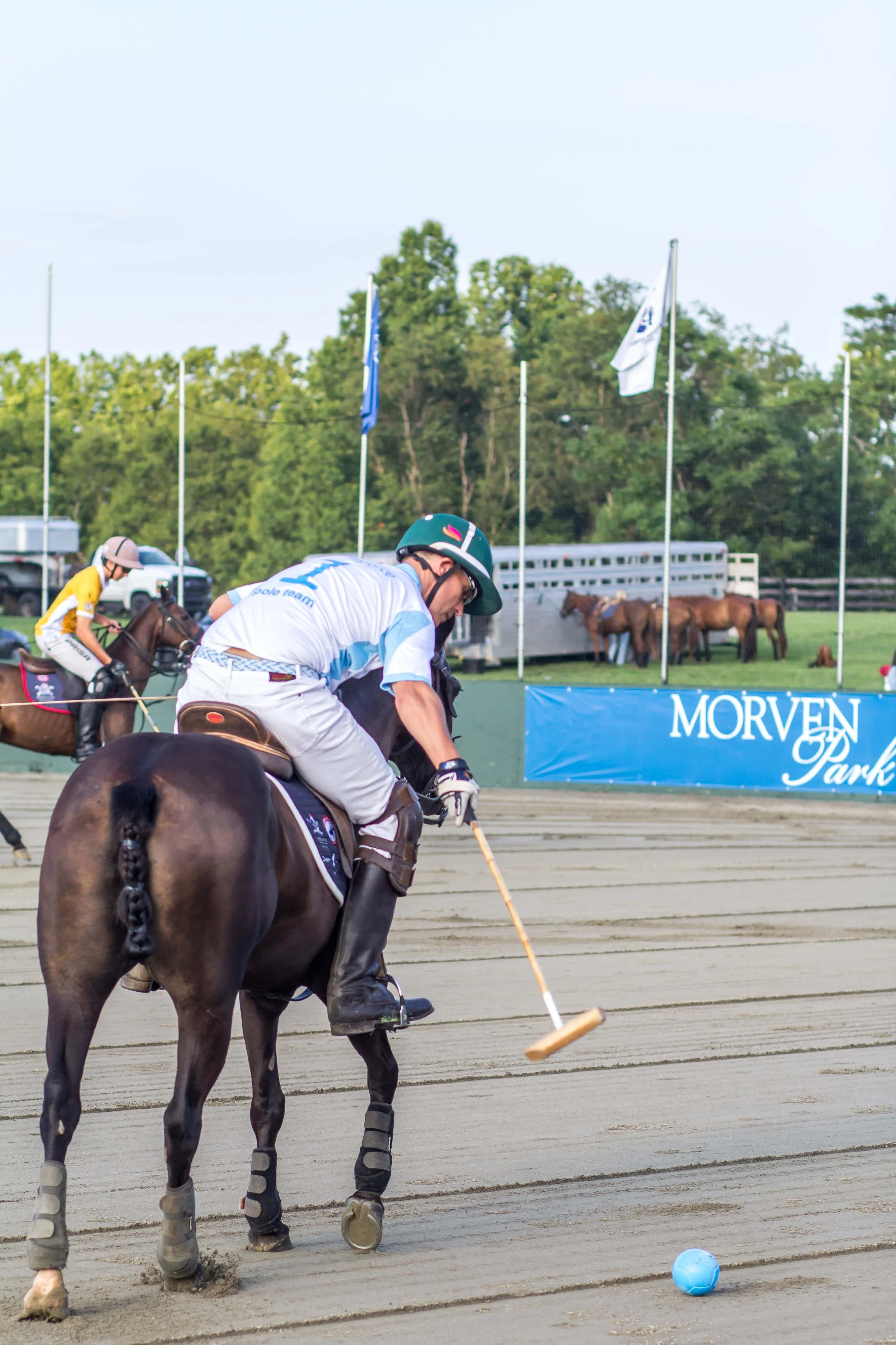 Polo in the Park -  Morven Parl -JULY 25 2026 _-49.jpg