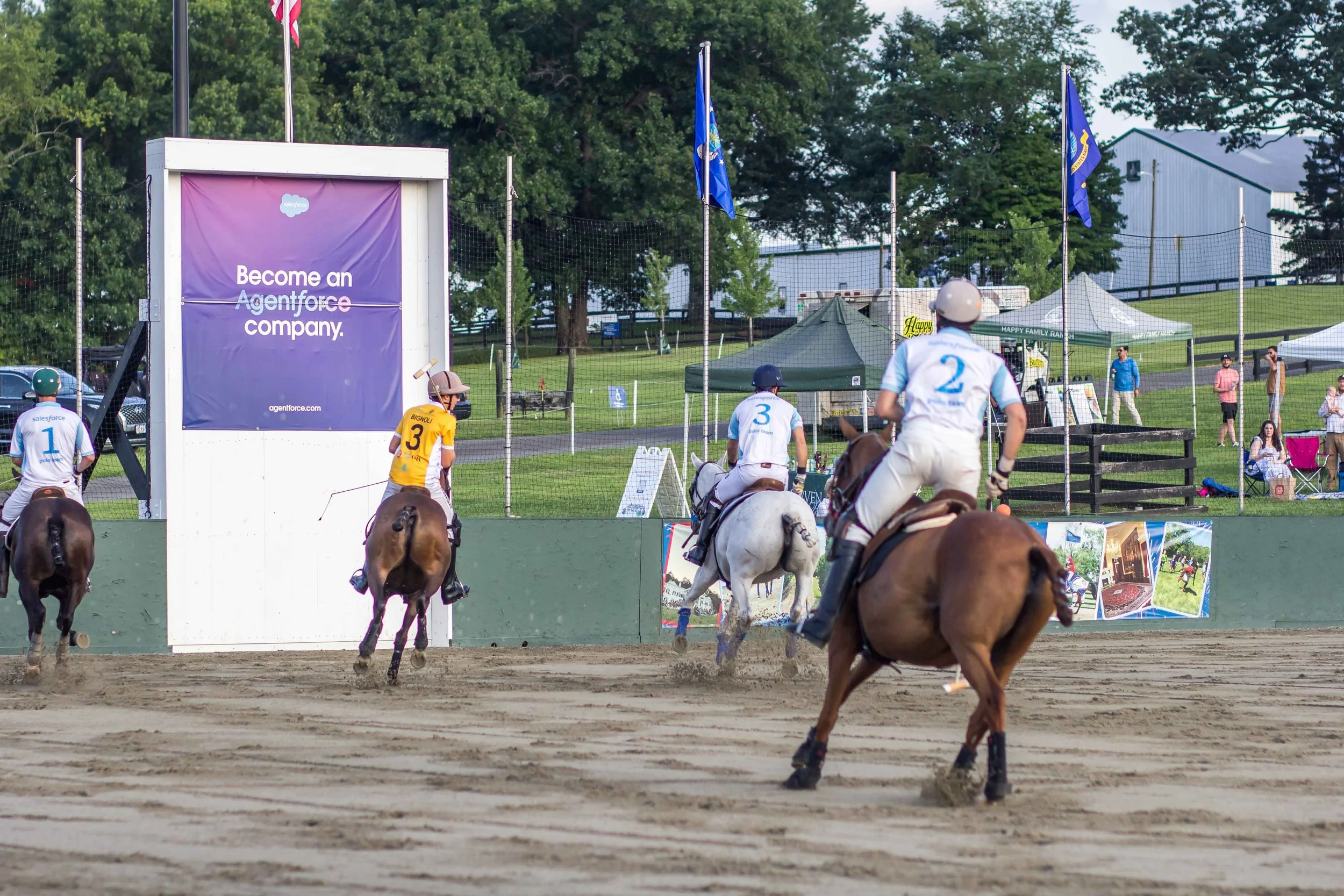 Polo in the Park -  Morven Parl -JULY 25 2026 _-83.jpg