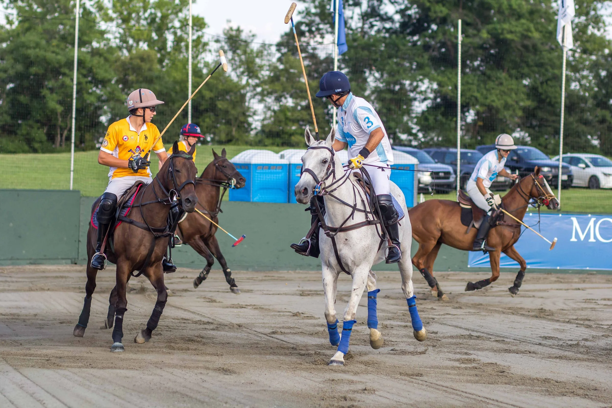 Polo in the Park -  Morven Parl -JULY 25 2026 _-98.jpg
